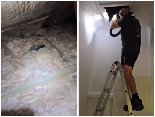 澳洲一名女屋主發現房間天花板會漏水，結果竟是蟒蛇的「尿液」！（翻攝臉書Sunshine Coast Snake Catchers 24/7）