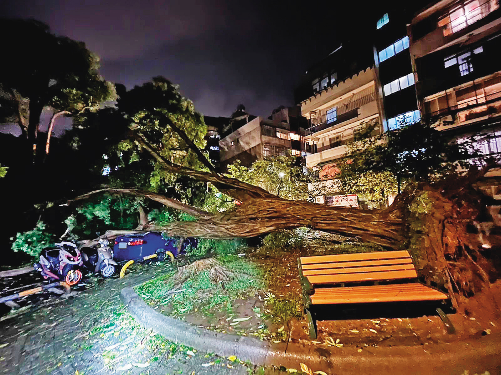 台北內湖一名騎士出門買晚餐，不幸遭傾倒的樹木與電線杆壓死。（翻攝畫面）