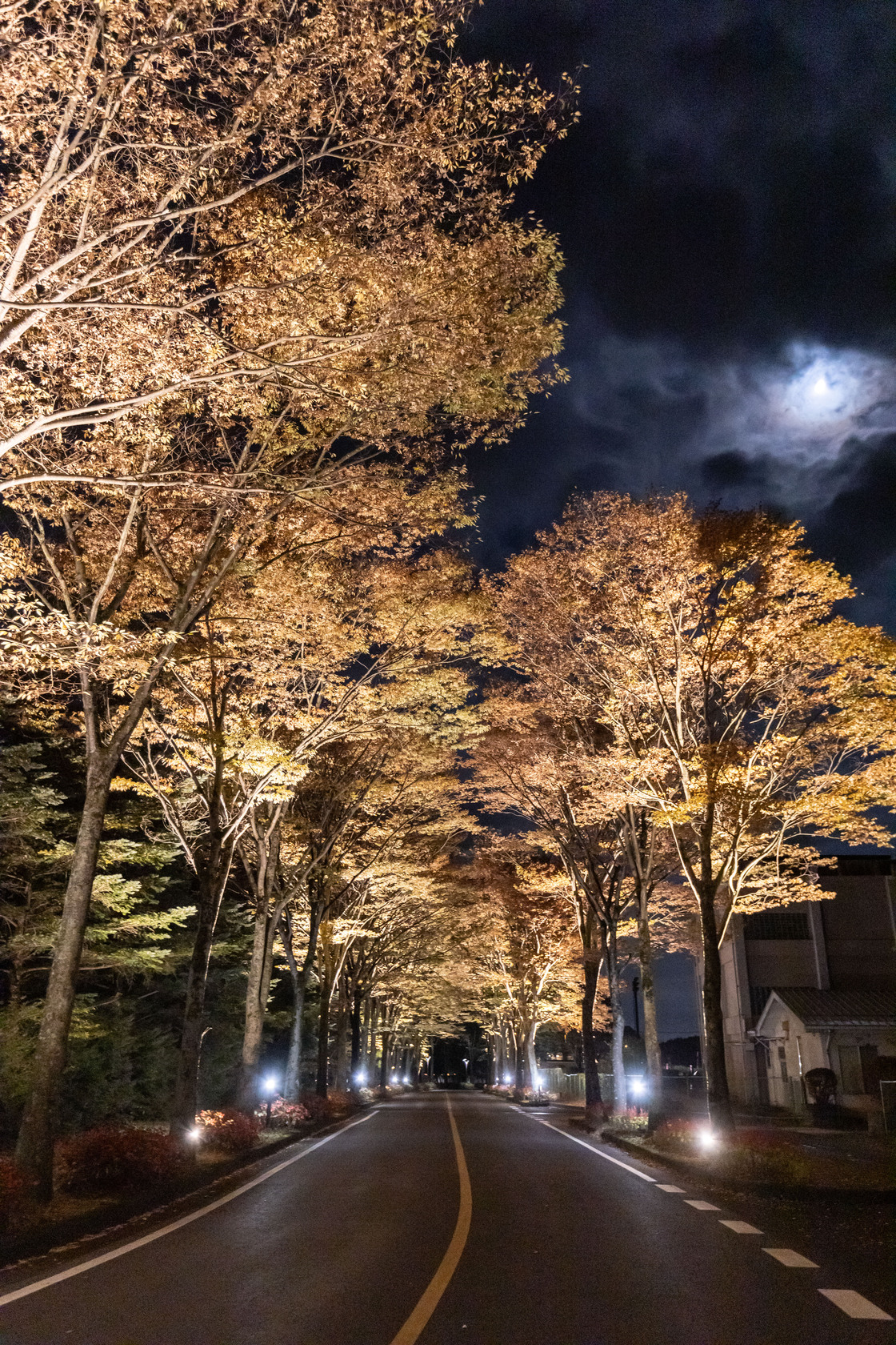 夜晚漫步在周圍的步道，愜意舒適。