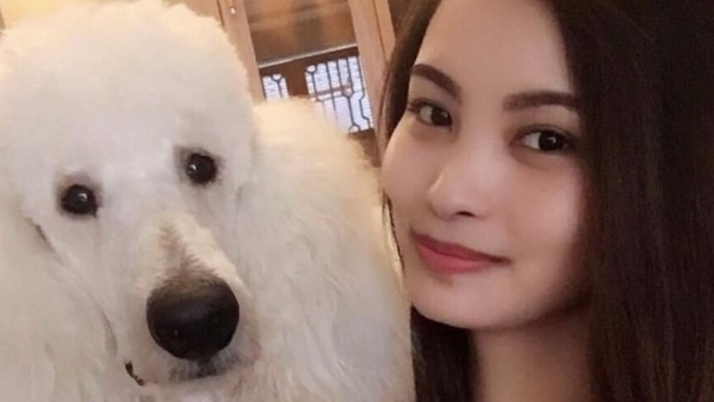 正妹竟是殺人犯!莫拉蕾絲與同夥狠殺一對夫婦。(翻自livedoor)