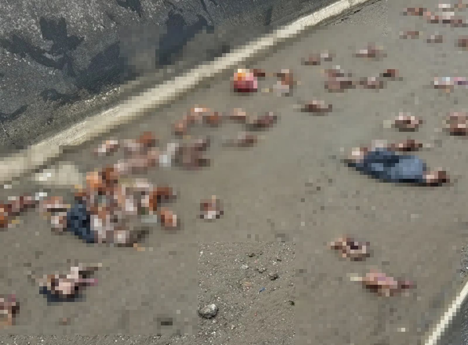 苗栗235隻雞屍驗出H5N1禽流感 追查疑似與台中養禽場有關