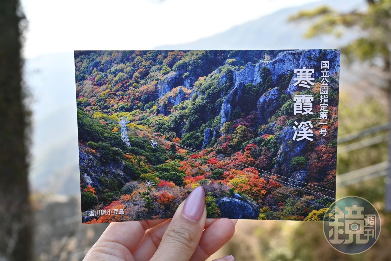 每年秋季寒霞溪是賞楓的人氣景點。
