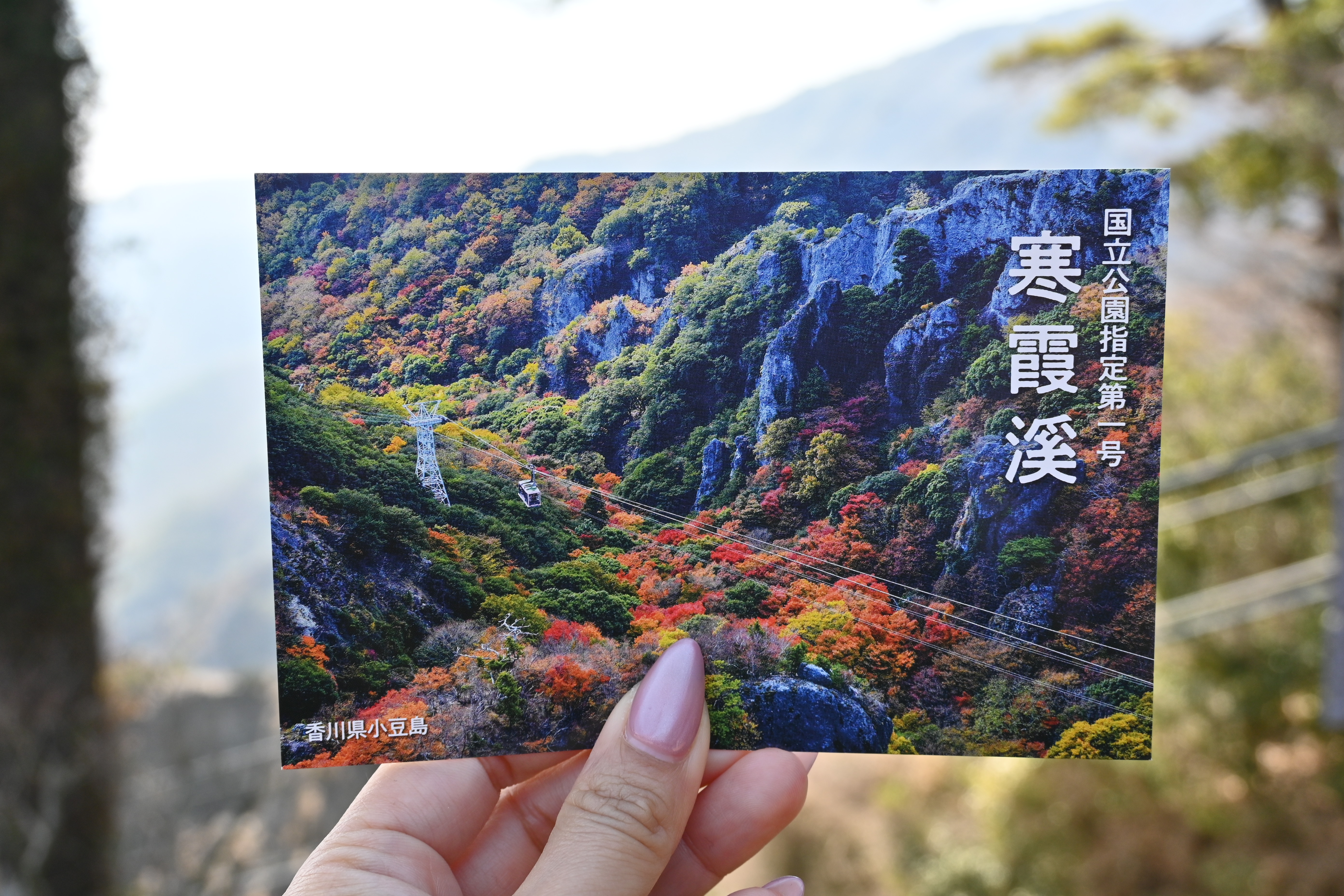 每年秋季寒霞溪是賞楓的人氣景點。