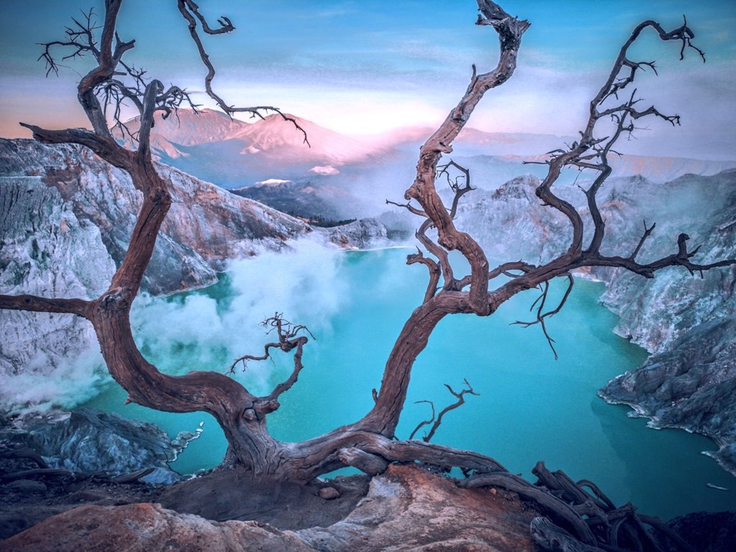 伊真火山口的這棵樹成為遊客打卡的朝聖景點,但近日發生人妻墜谷意外。(翻攝自推特@psipro7)