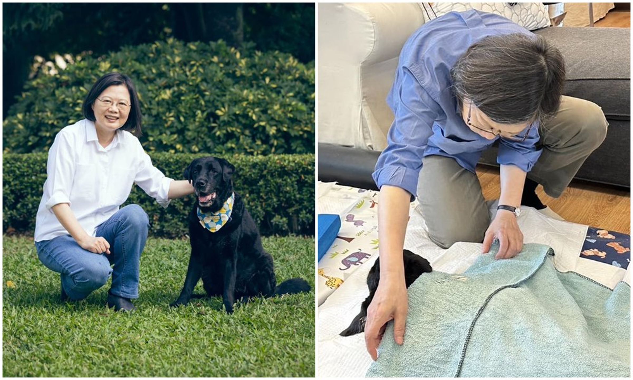 蔡英文的愛犬Maru昨日過世。（翻攝蔡英文臉書）