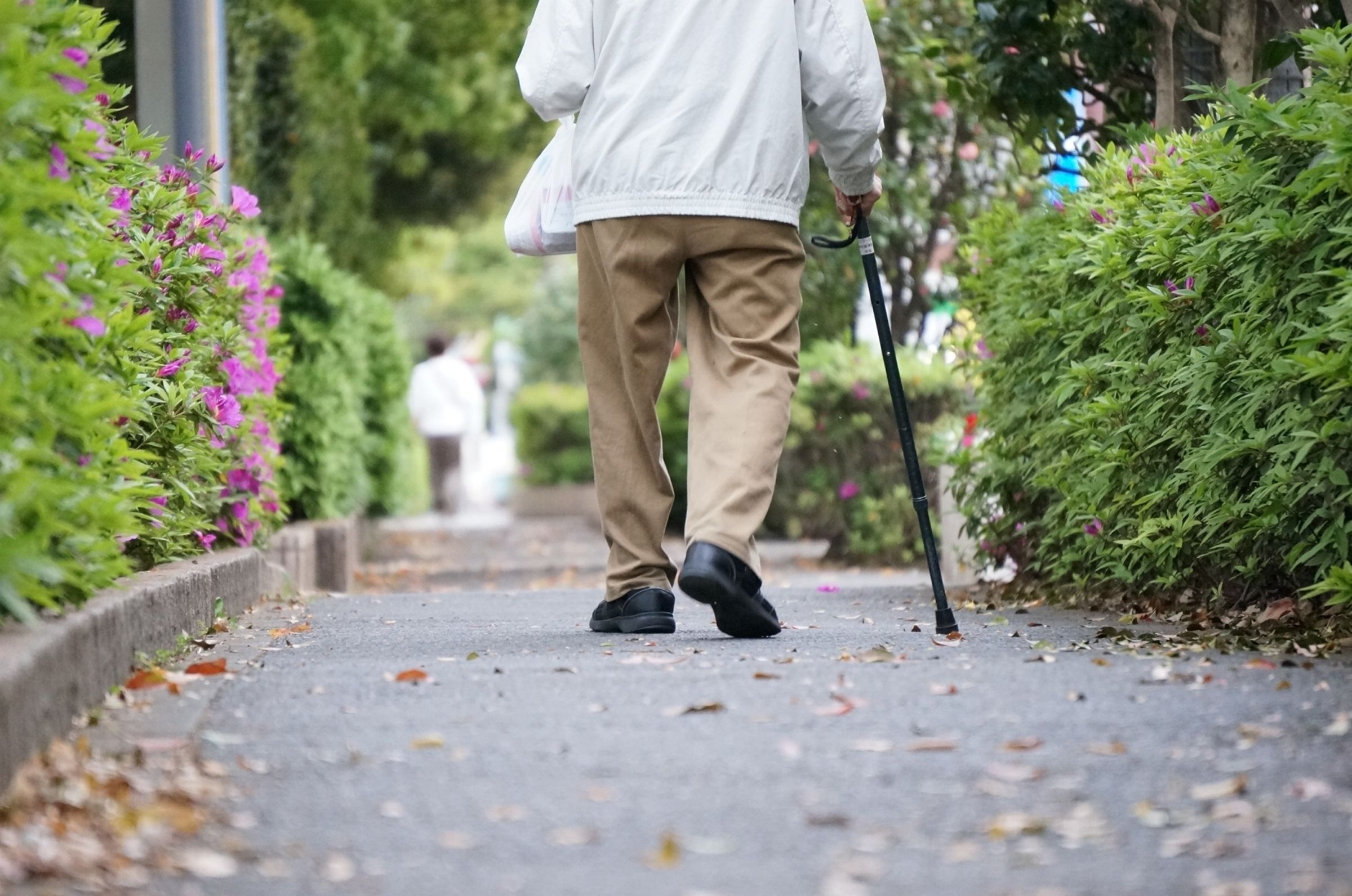 一名70歲的李爺爺出現頭暈、視力下降情形，常因重心不穩而跌倒，確診為維生素B缺乏導致的營養性神經病變。（翻攝自photo-ac）
