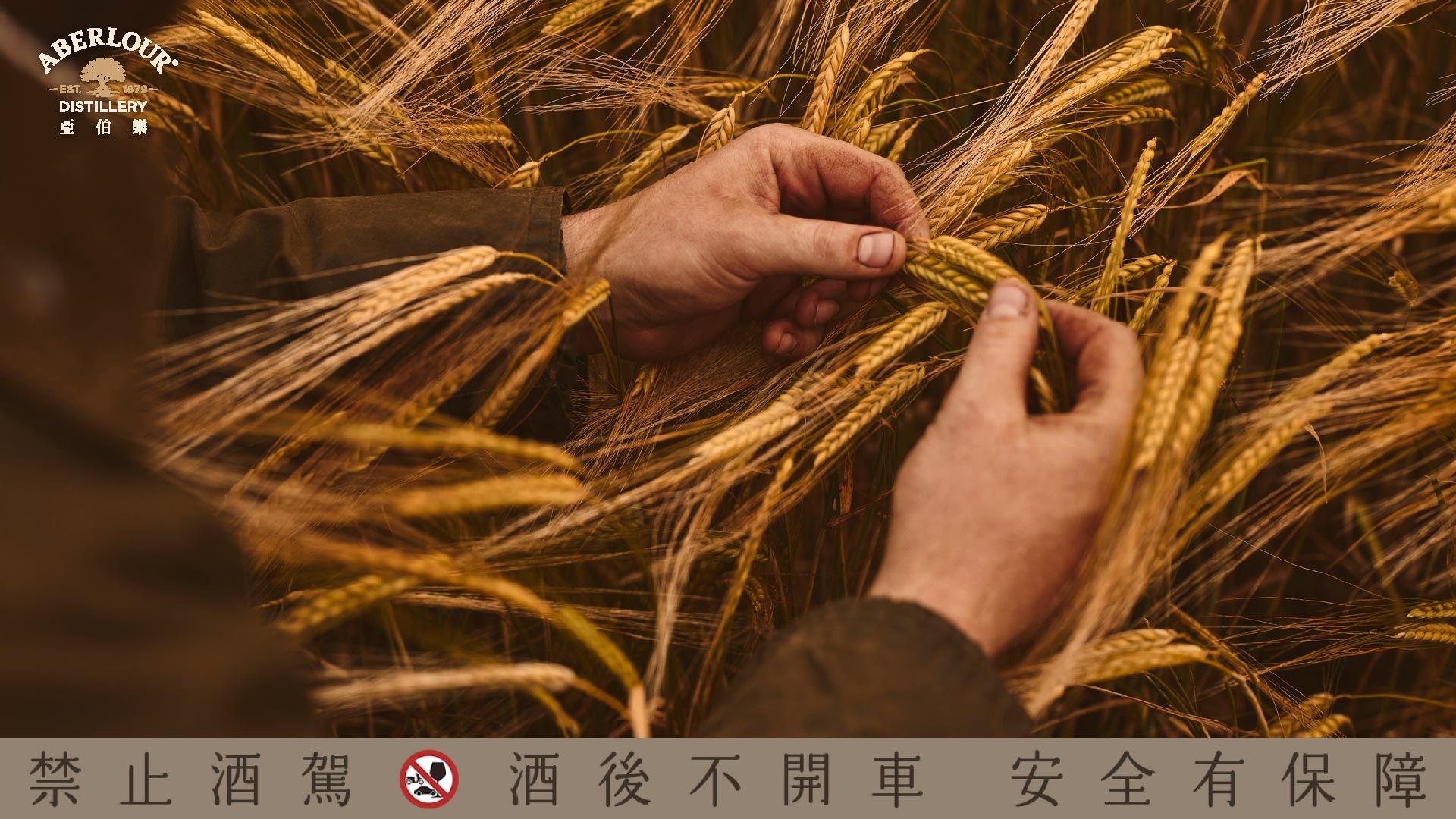 伯樂品酩專題／以土地為名 亞伯樂全新永續包裝致敬初心 2025再創金獎榮耀