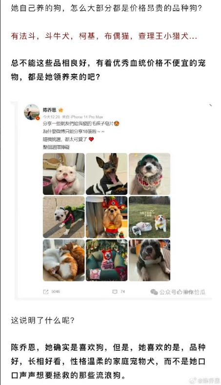 早前陳喬恩為狗發聲的舉動被質疑虛偽,她因此發文澄清。(陳喬恩微博)