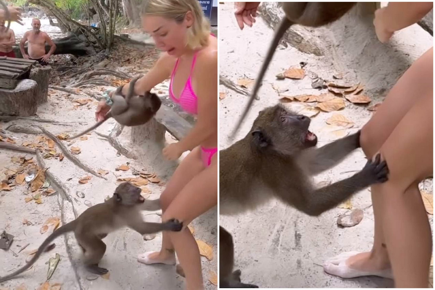 山道猴子就是狂！看到比基尼正妹就硬上肉體，她直呼「後悔去度假」。（翻自IG）