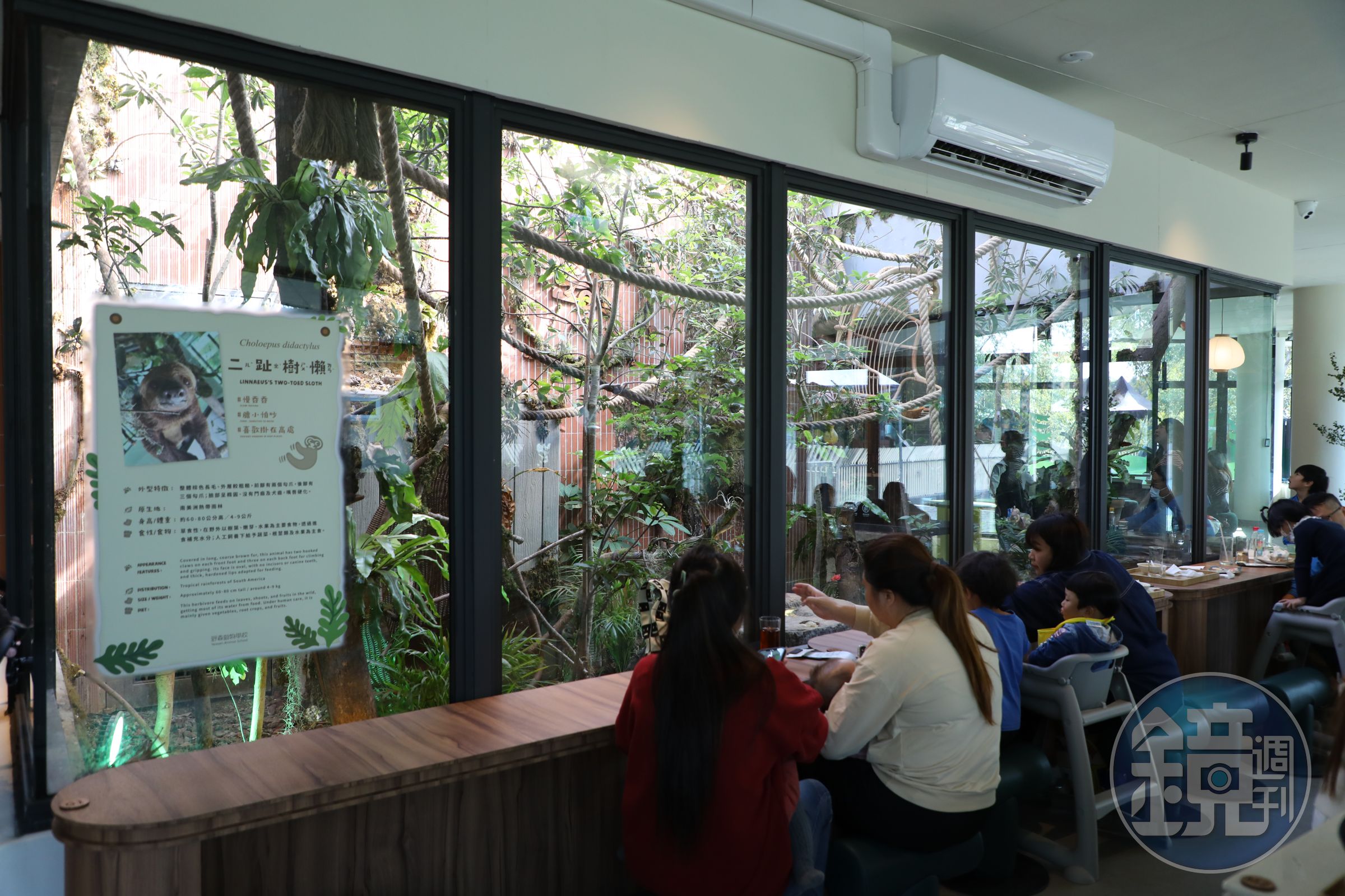 「樹懶時光屋」餐廳內面向玻璃屋的座位，可以一邊用餐、一邊觀察樹懶動作有多慢。