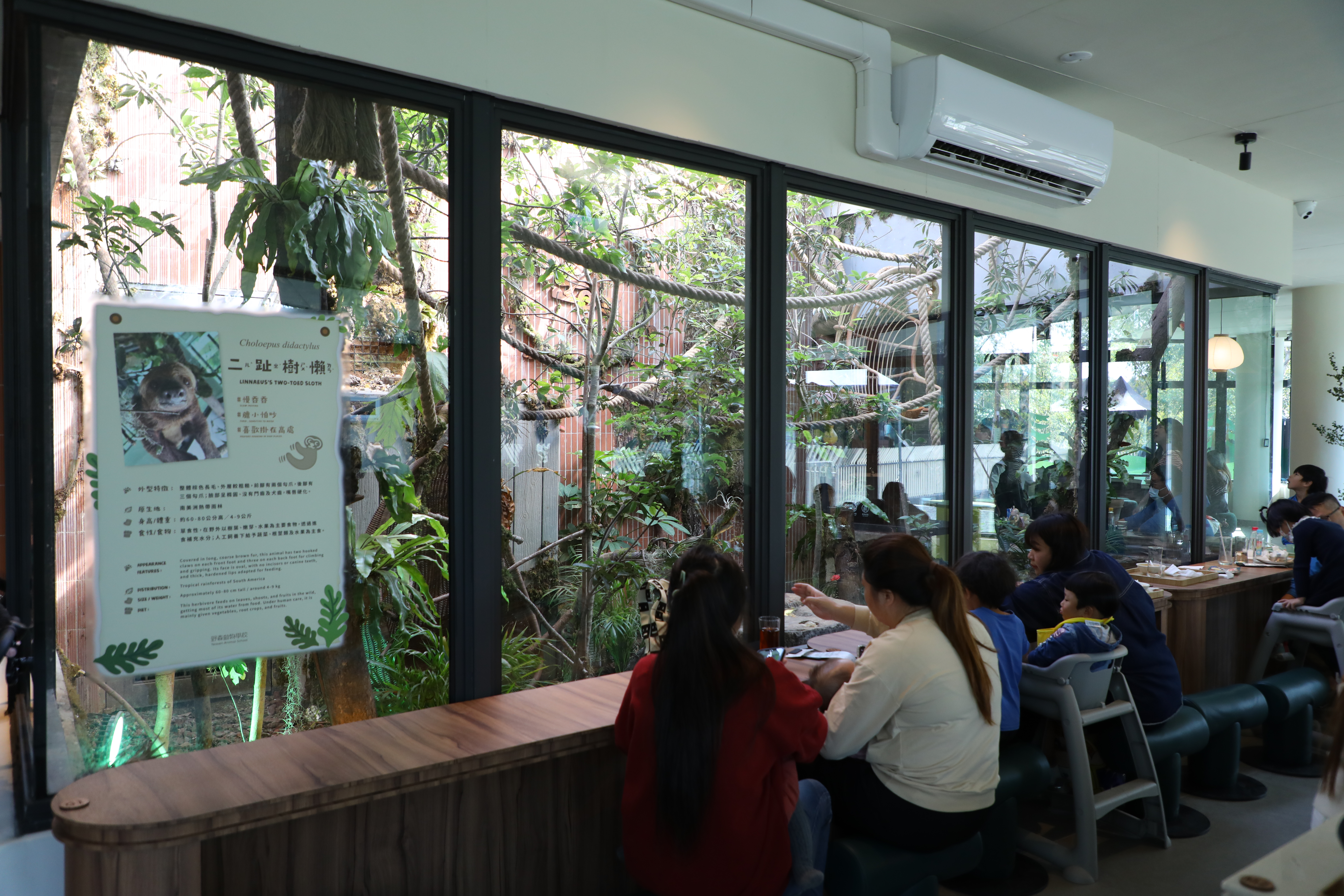 「樹懶時光屋」餐廳內面向玻璃屋的座位,可以一邊用餐、一邊觀察樹懶動作有多慢。