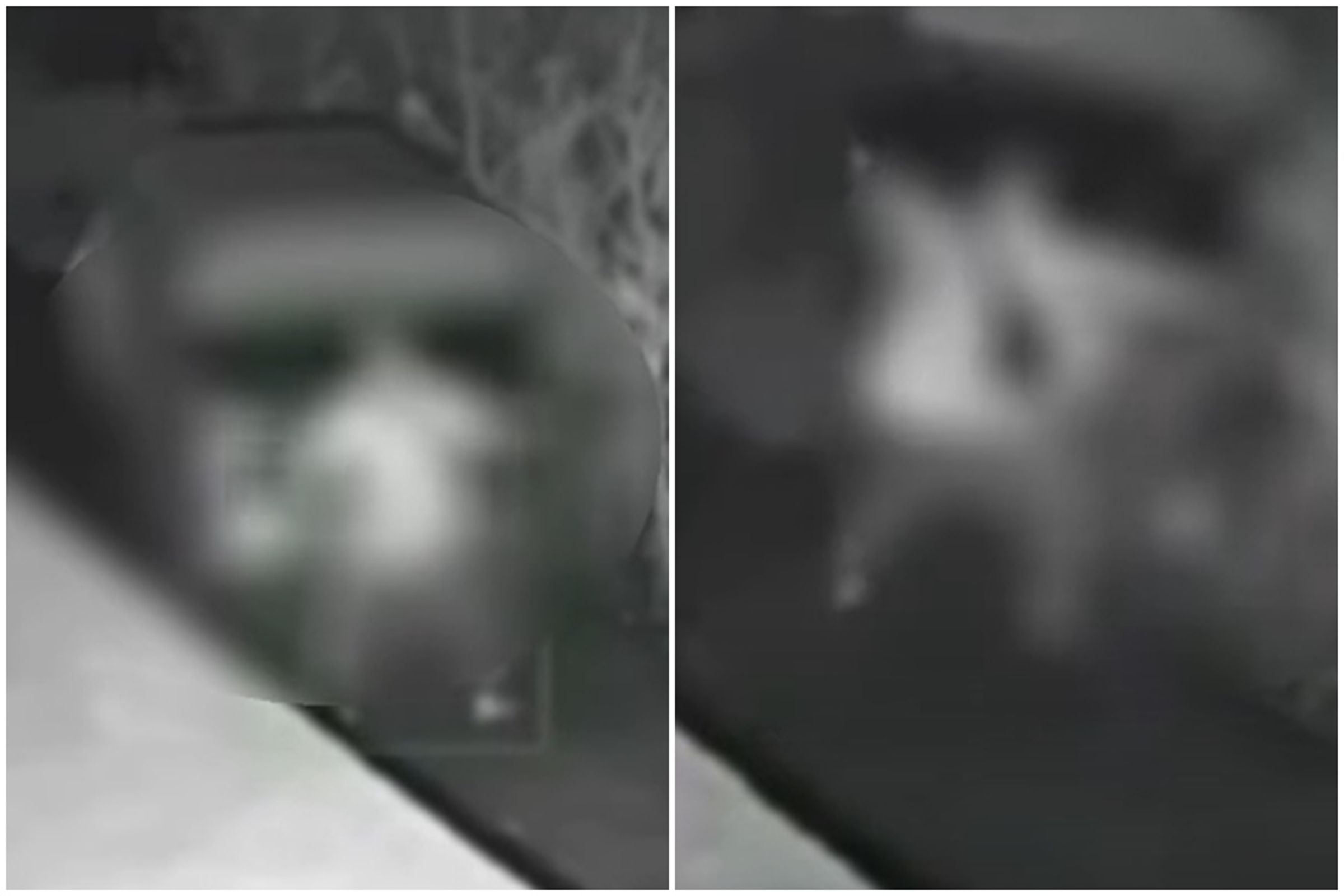 一對男女在田裡啪啪啪，卻疑似因未拉手煞車，差點變命案。（翻攝畫面）