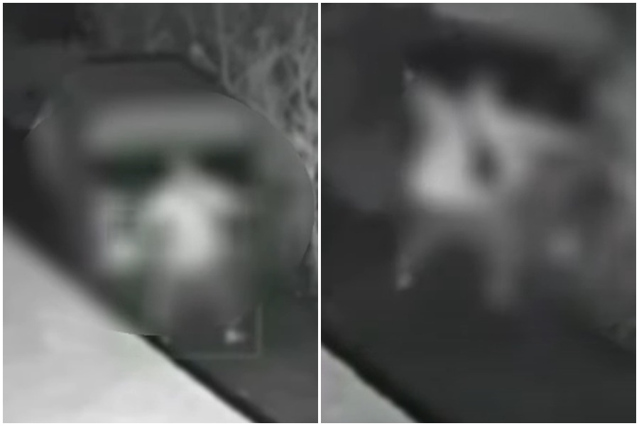 一對男女在田裡啪啪啪，卻疑似因未拉手煞車，差點變命案。（翻攝畫面）