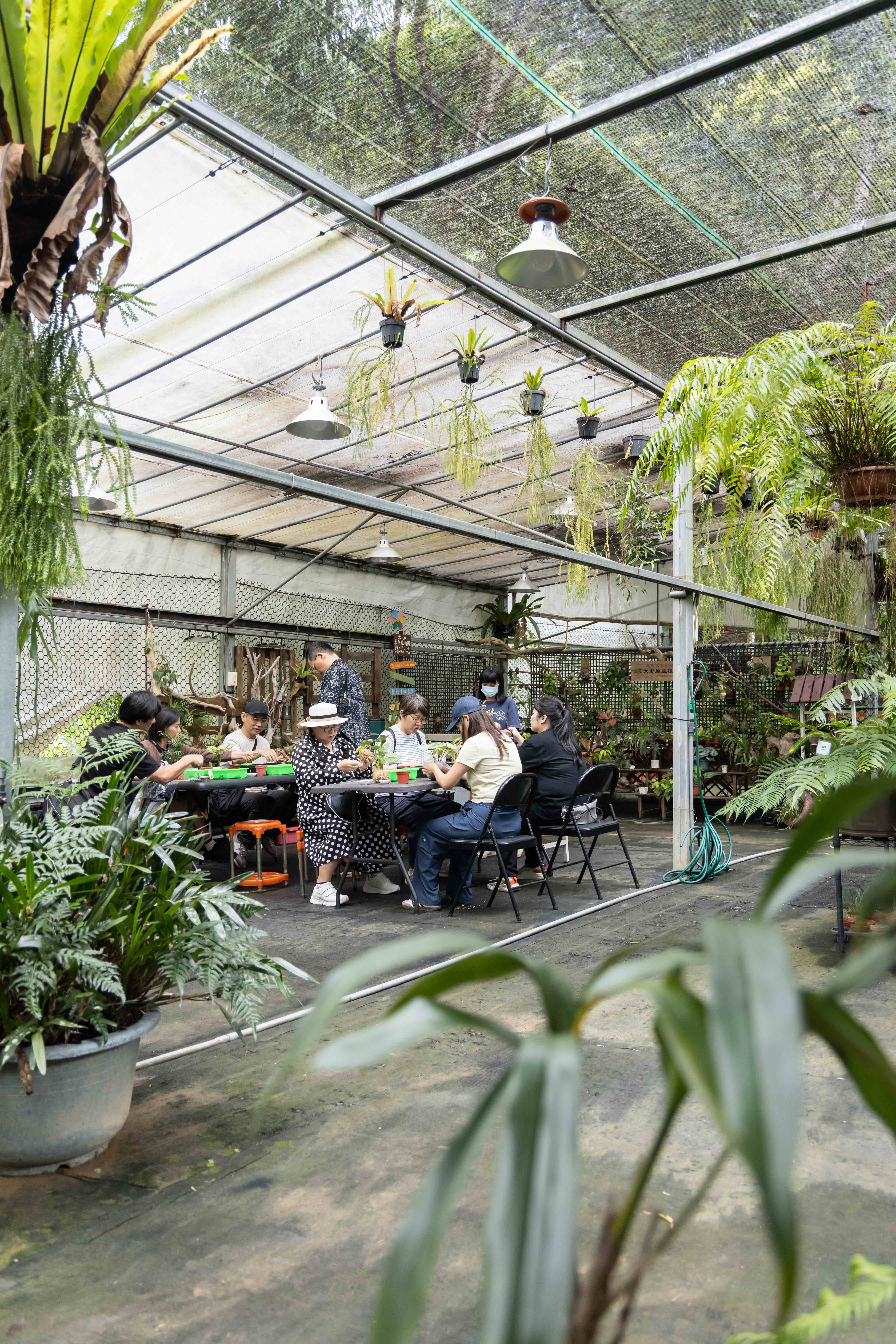 太湖原生植物園提供多款植栽手作課程，包含「迷你生態瓶」「原生蘭花上板」「療癒造型苔球」等，在創作過程中認識植物，把綠意帶回家。
