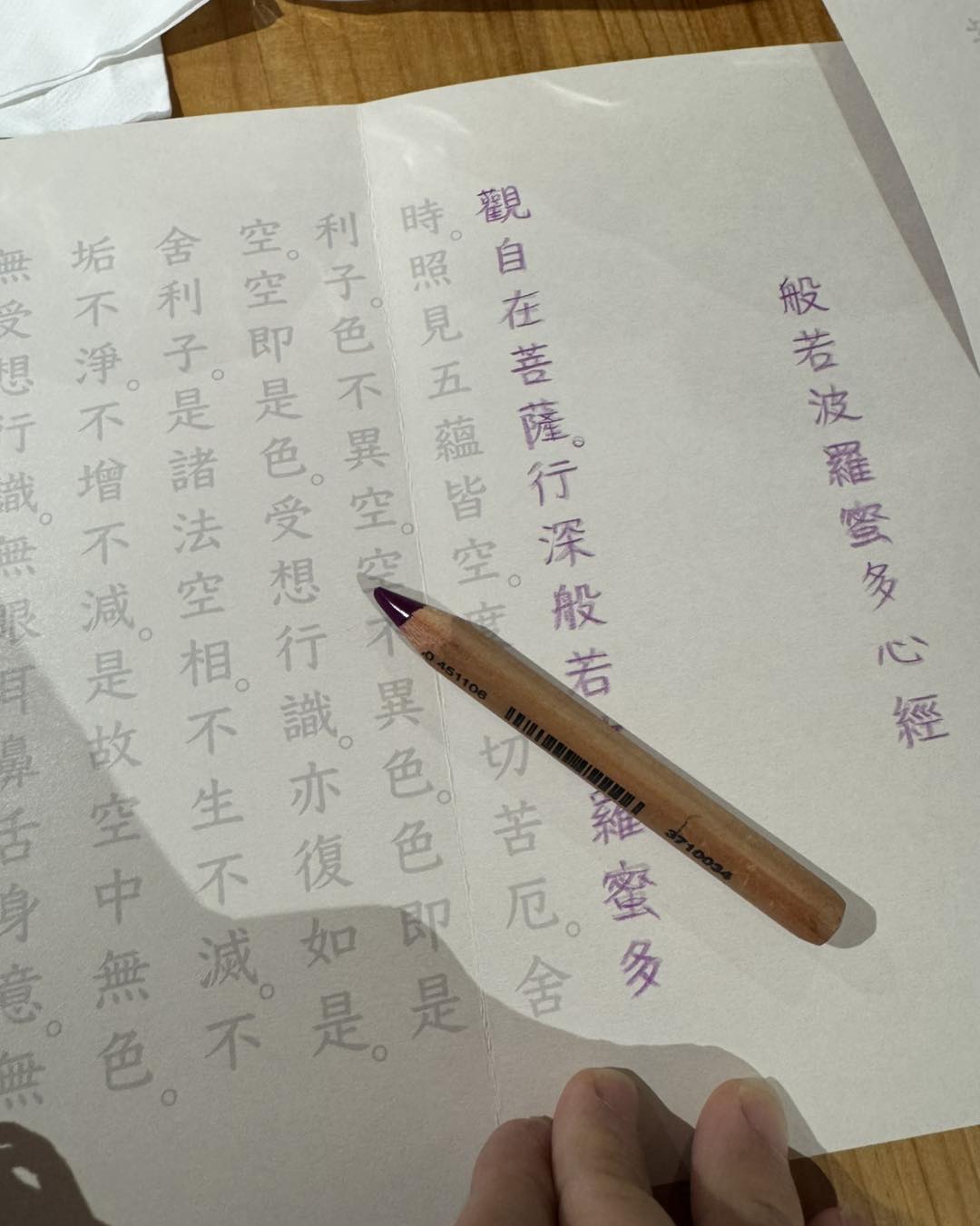 林慈惠與孩子們一起抄心經。（翻攝林慈惠臉書）