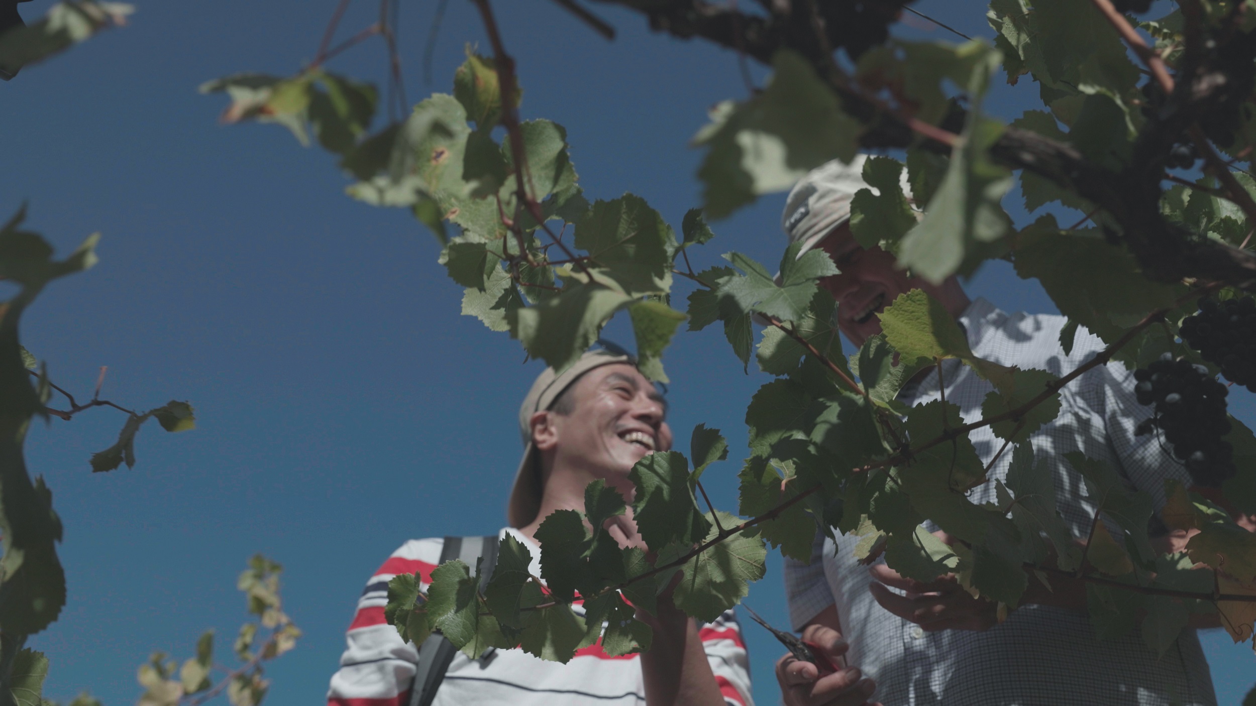 莊凱勛到澳洲出外景。（公視提供）