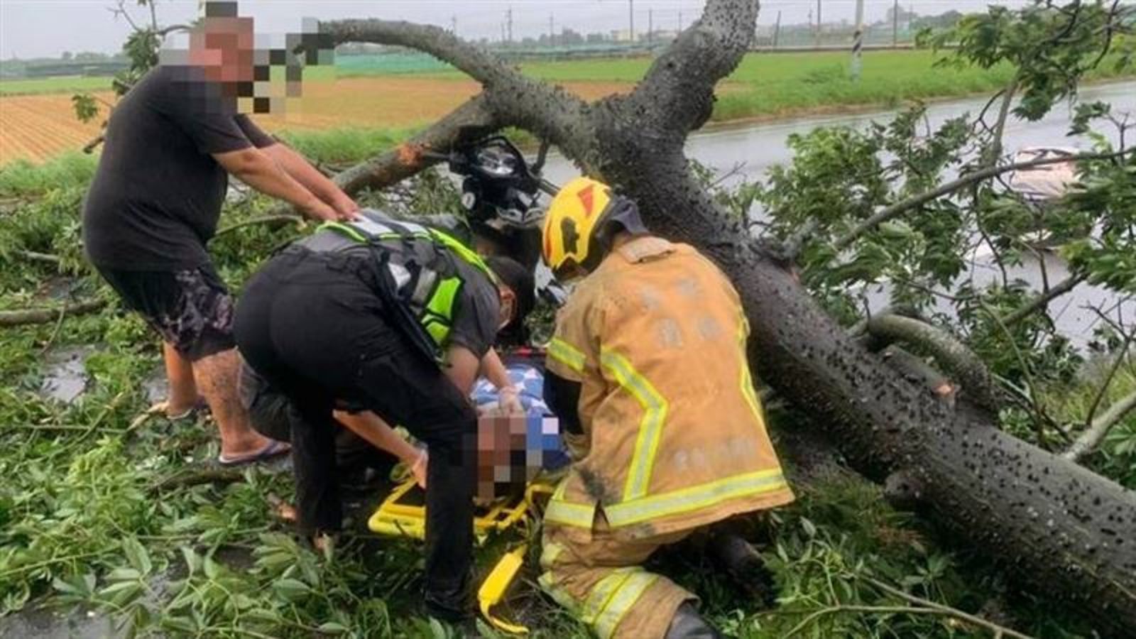 巴威強風吹倒路樹!雲林65歲女騎士遭砸受困 臉部撕裂傷送醫