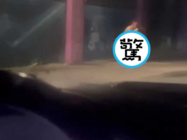 老司機開車，目睹情侶在馬路「上車式」野戰！太刺激了。（翻自《吃瓜網》）