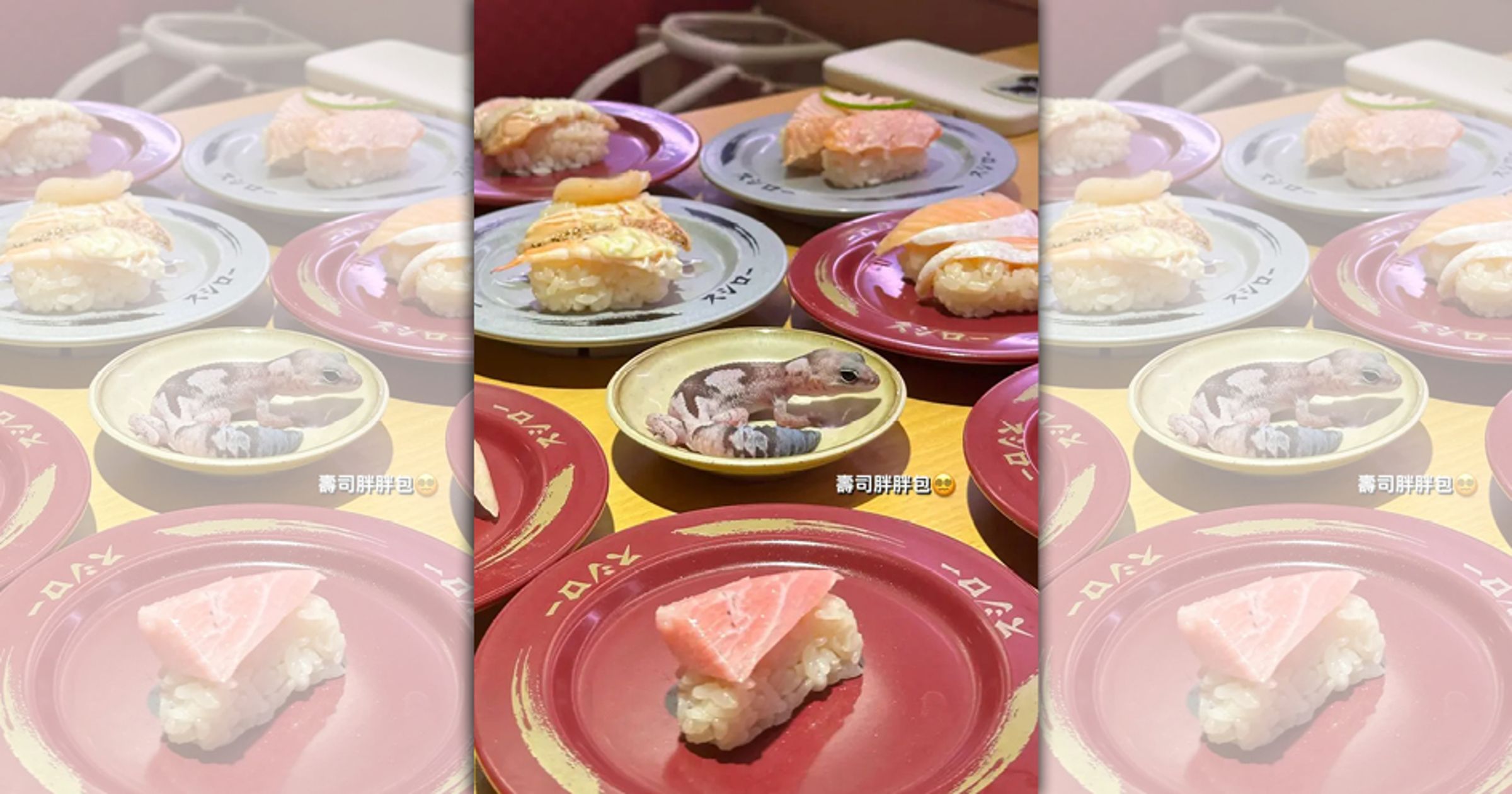元智大學女大生日前將寵物守宮放在醬油碟拍照,引發輿論抨擊。(翻攝照片)