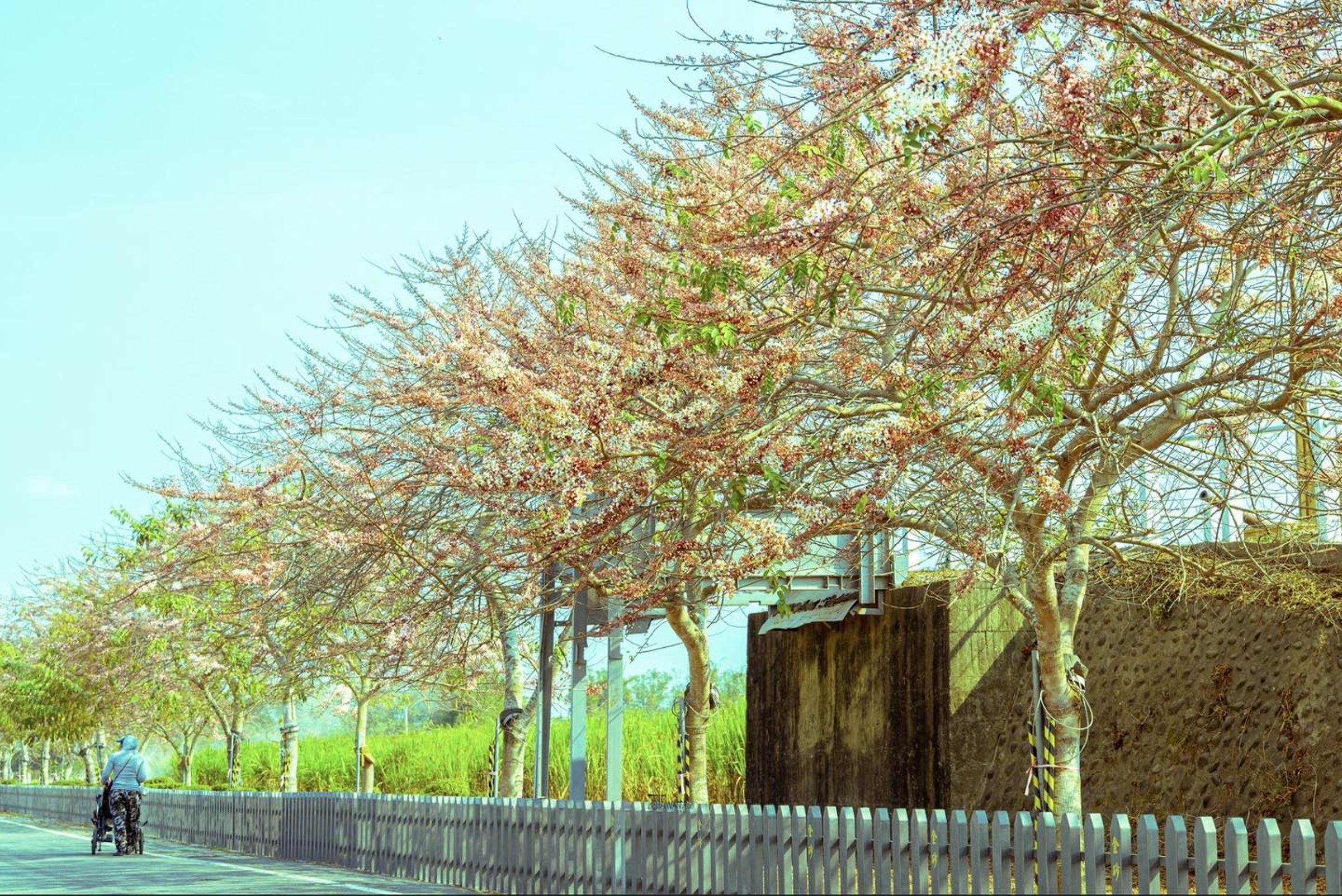 黃偉哲PO出多張台南景點美照。(翻攝自黃偉哲臉書)
