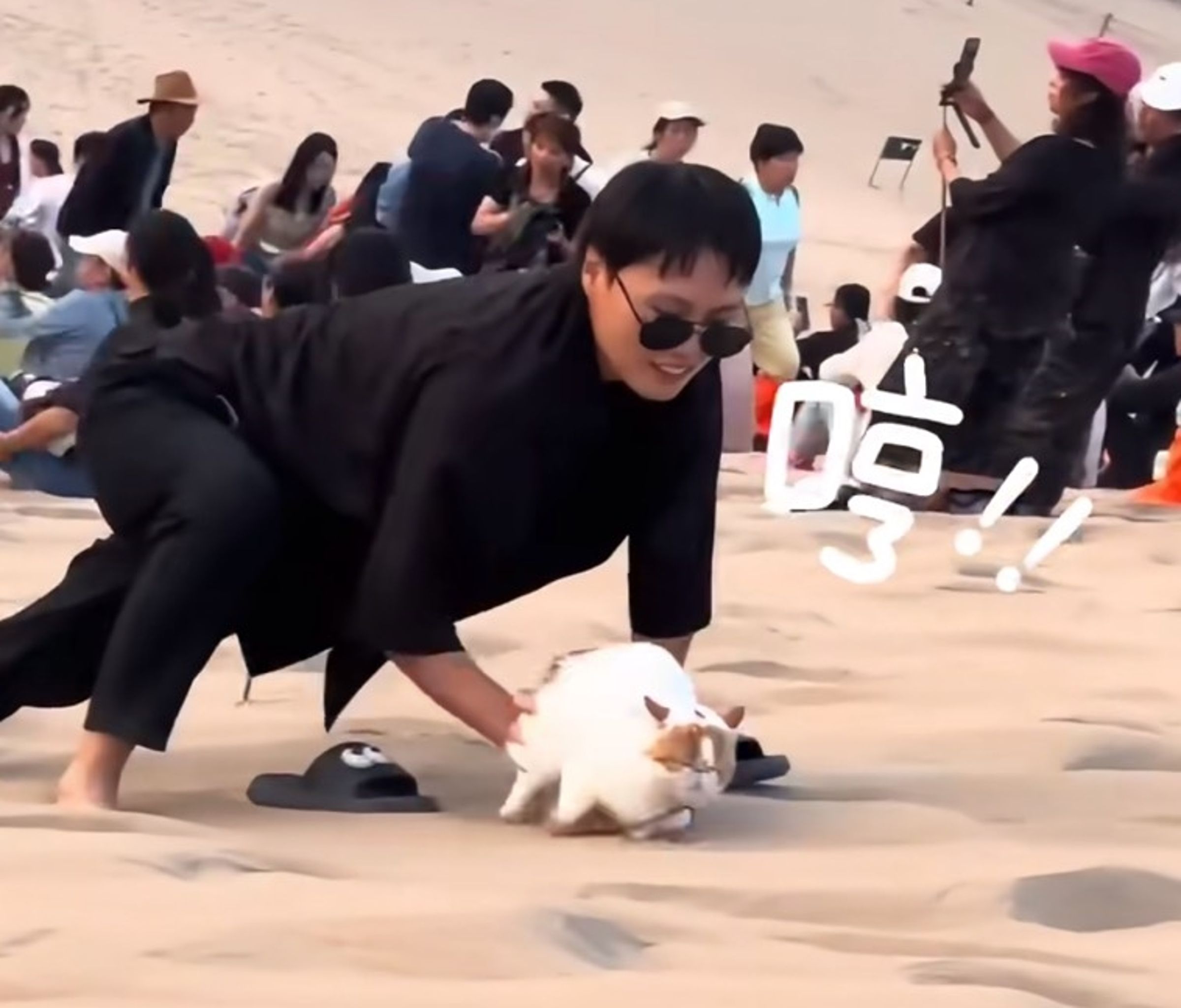一名女子帶著愛貓赴敦煌鳴沙山,原本邊爬邊推貓咪屁股,鼓勵牠前行。(翻攝自小紅書)