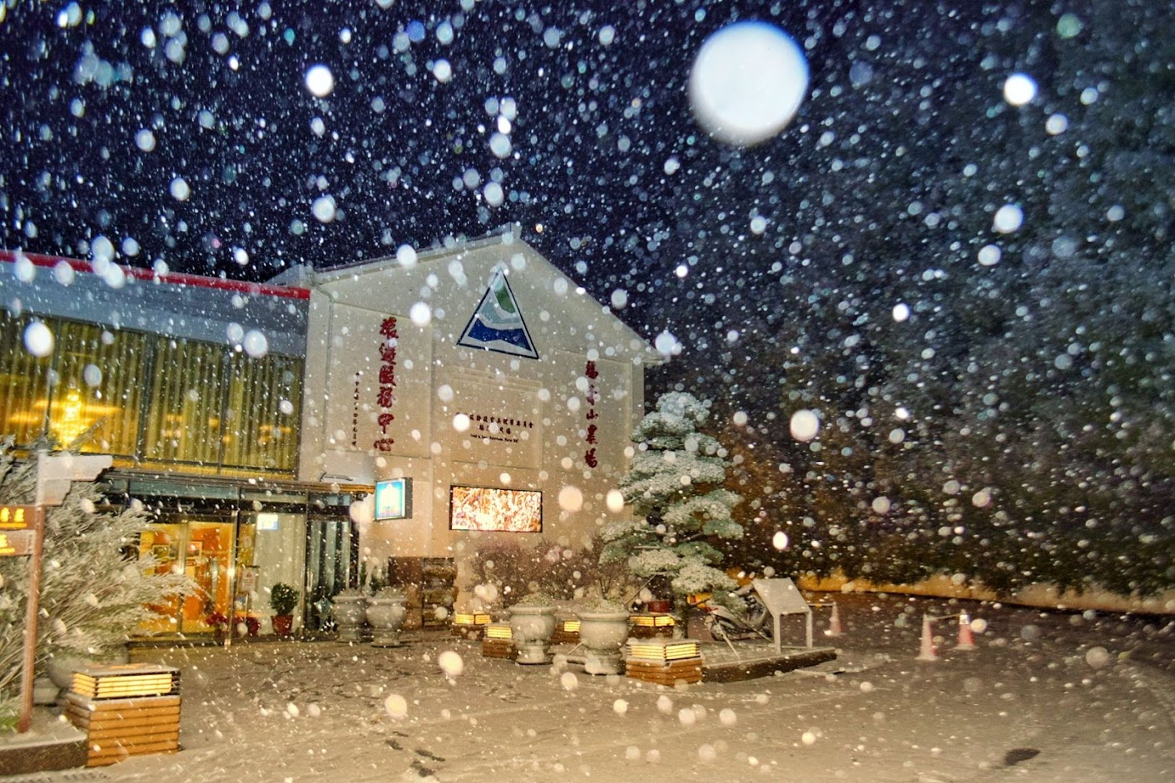 福壽山農場社群小編透露,「大家要賞雪的可以衝了」,還透露下完這場雪就許願,「農場下雪請在偶休假的時候」,如今美夢成真,他下午就開始休假了。(翻攝自臉書@福壽山農場)