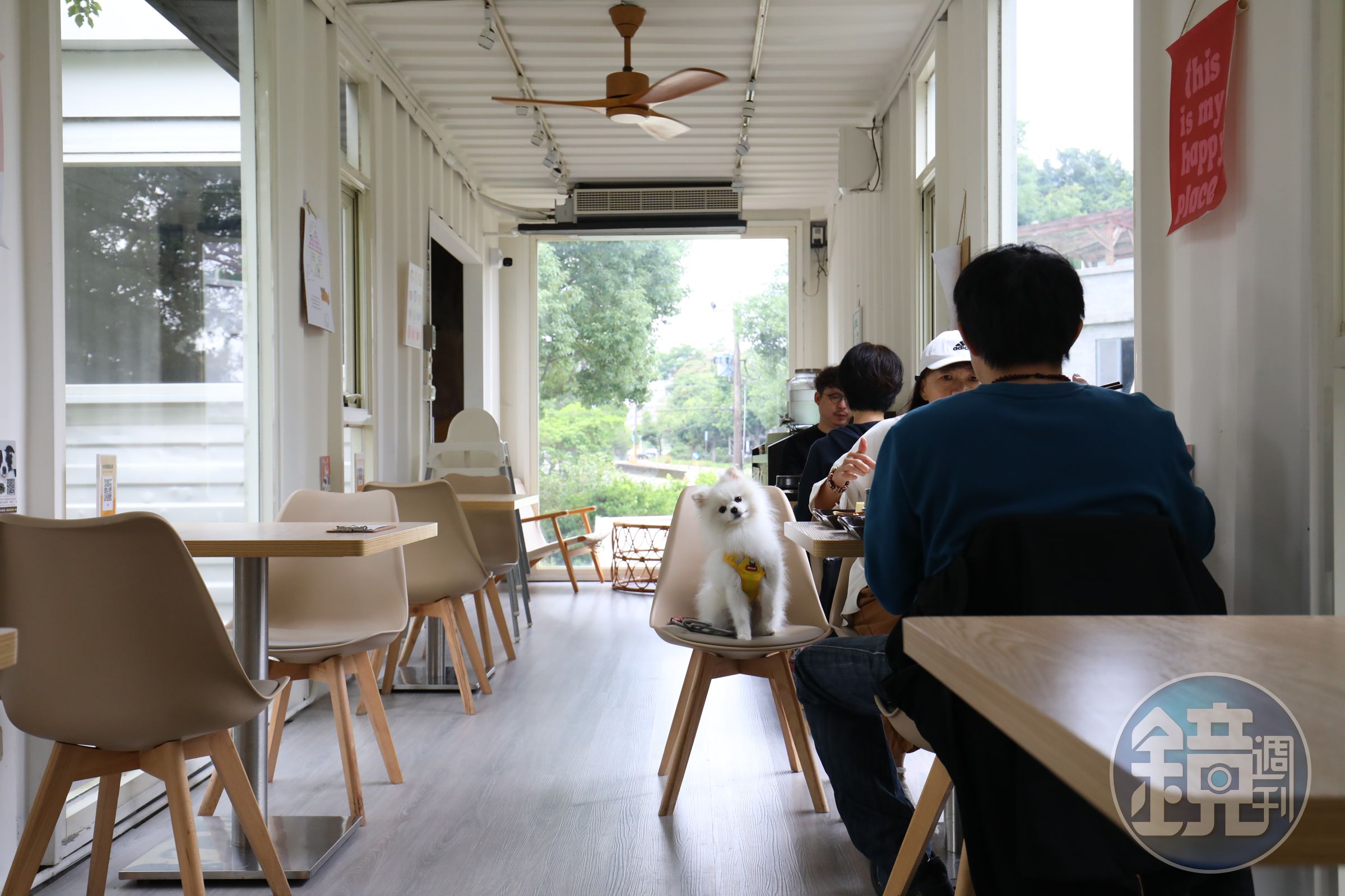 二樓座位區採光極佳,店家備有寵物水碗、撿便袋、防蚊液等用品,小狗也能一同上桌用餐。