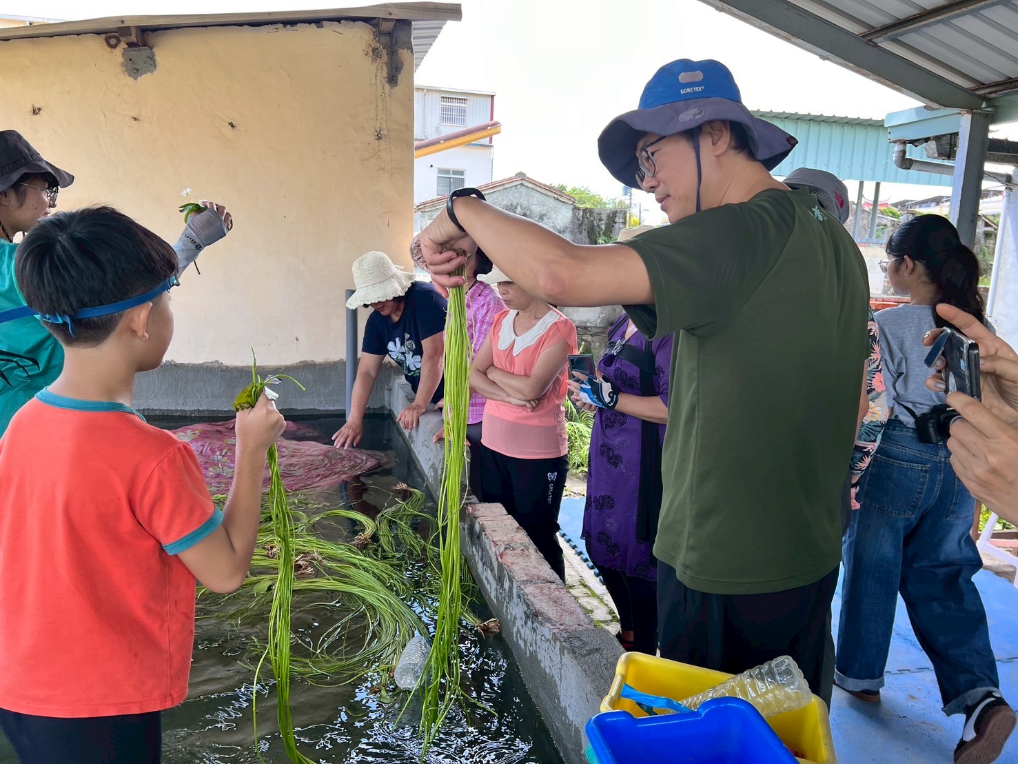參與民眾親自採摘、清洗野蓮，感受最在地的美濃日常。（信義房屋提供）