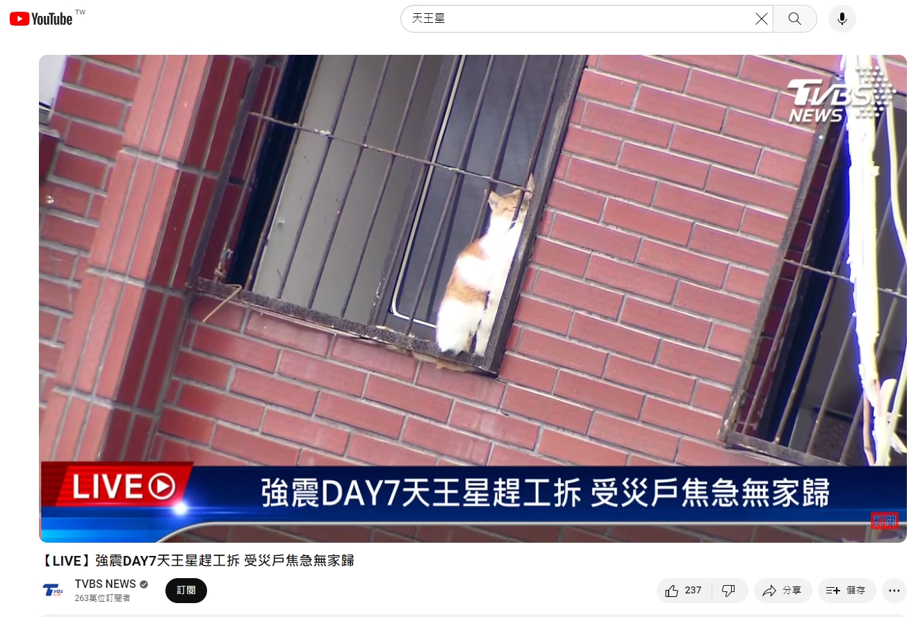 有媒體鏡頭拍到貓咪卡在鐵窗,引發熱議。(翻攝自TVBS YouTube)