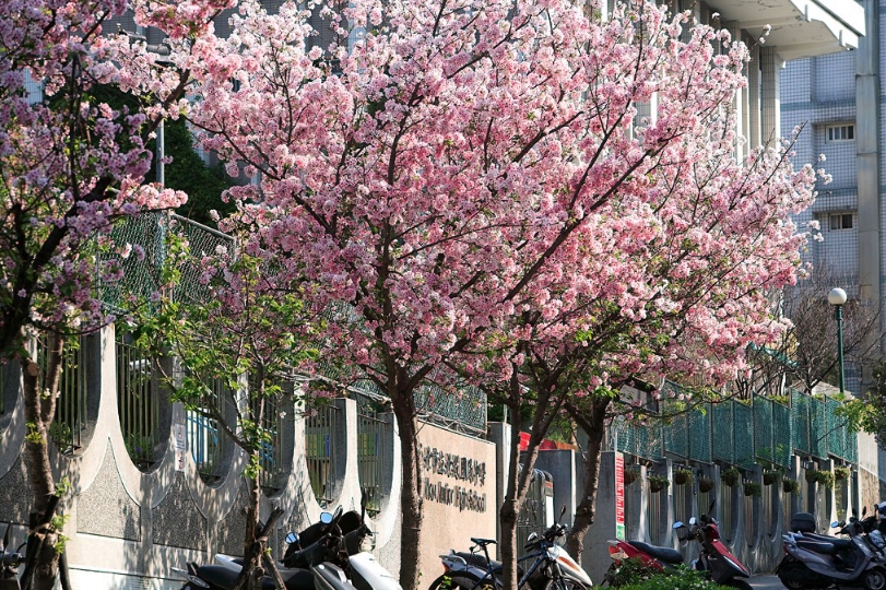 北投國中女壘隊疑食物中毒。（翻攝自北投國中臉書）