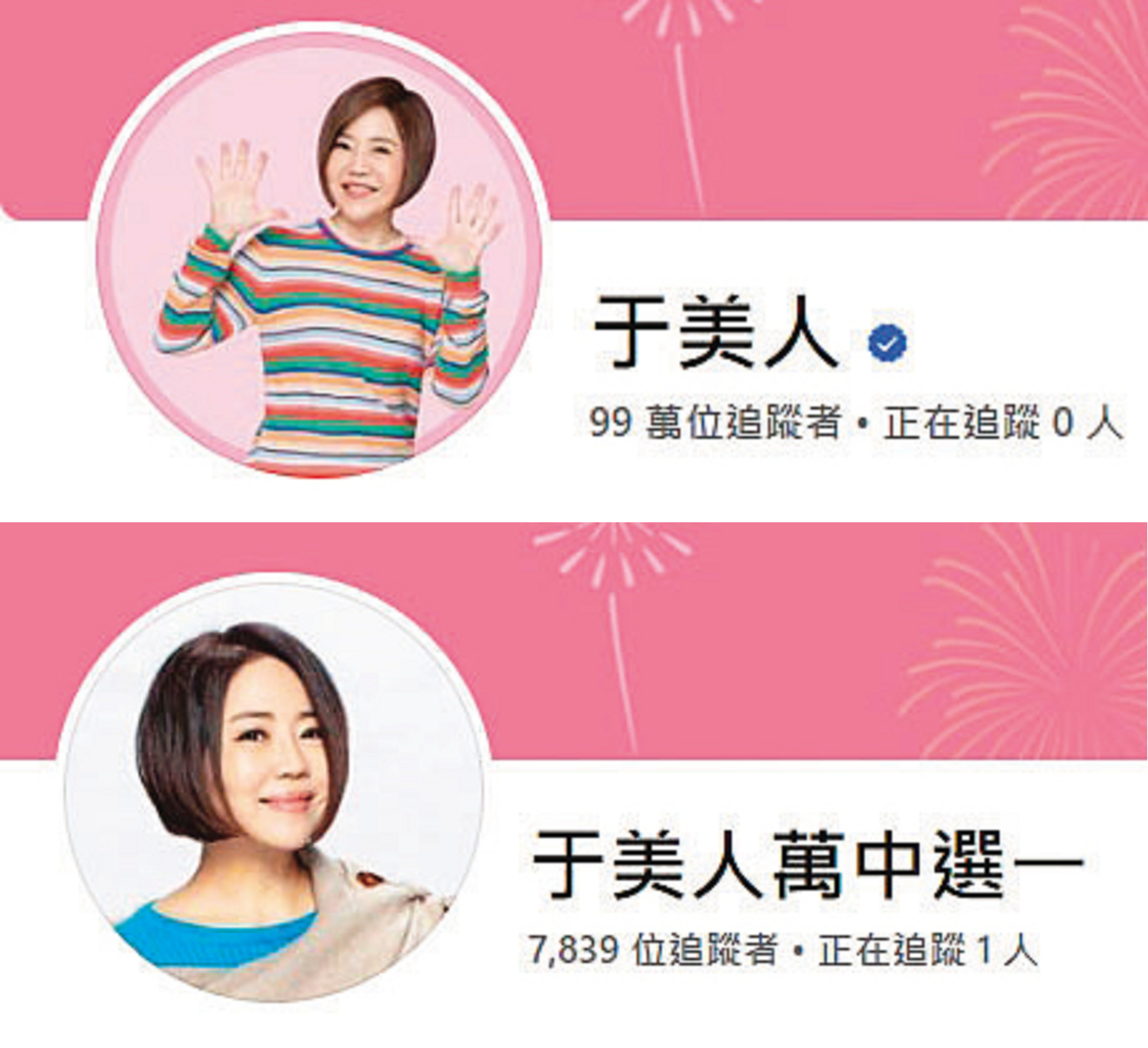 儘管個人粉專原就有近百萬追蹤,但于美人選舉時卻另創粉專,直到選完追蹤數都未破萬。