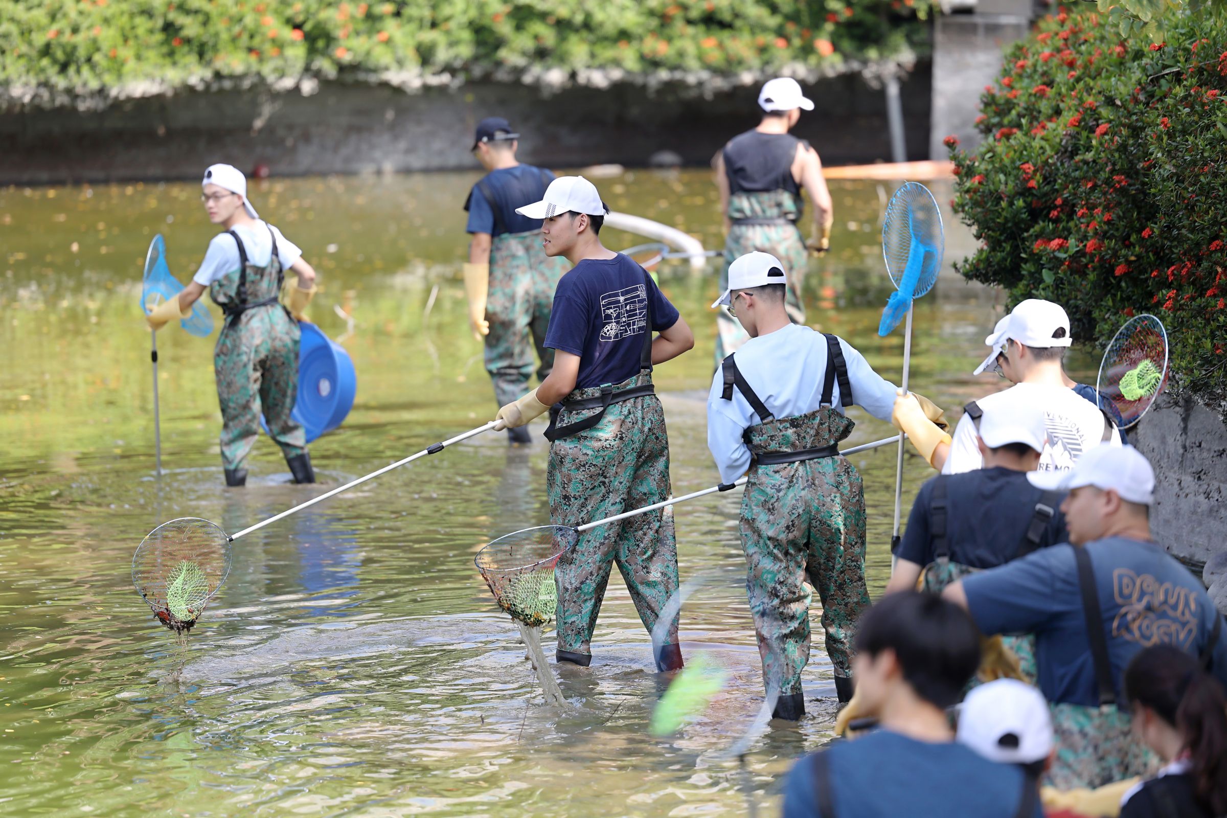 學生穿上青蛙裝在踩在湖底淤泥裡努力撈魚。（成功大學提供）