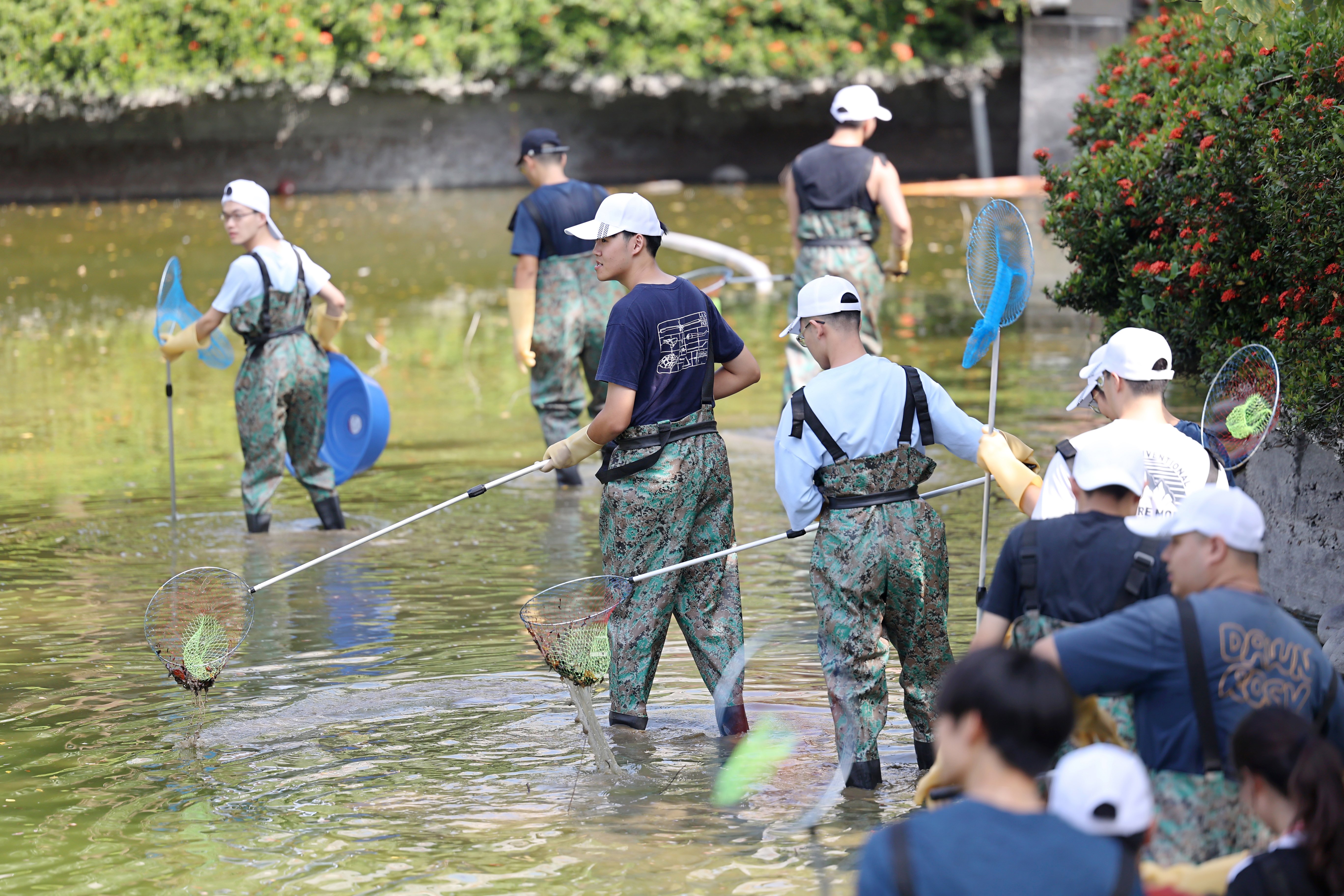 學生穿上青蛙裝在踩在湖底淤泥裡努力撈魚。（成功大學提供）