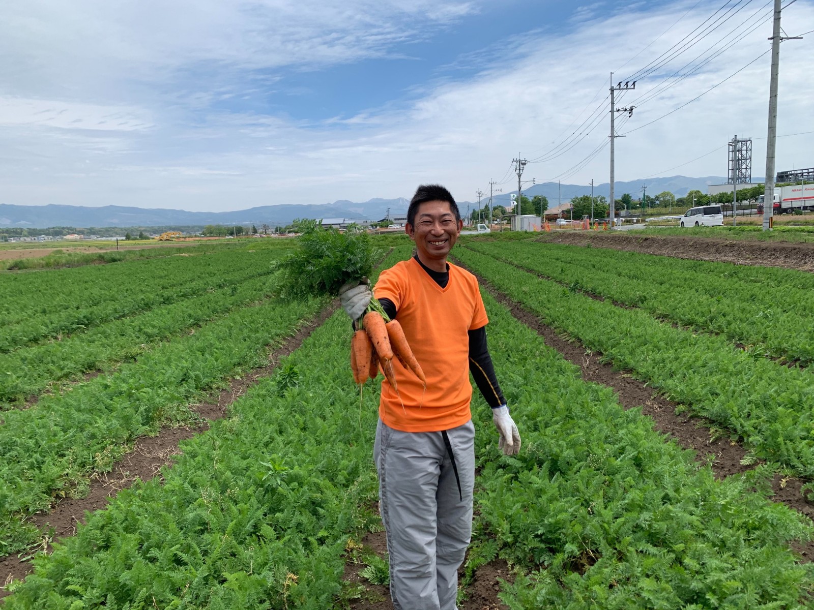 日本自有農場栽種蔬菜，頂級技術乾燥後直送來台。（聽儷科技股份有限公司提供）