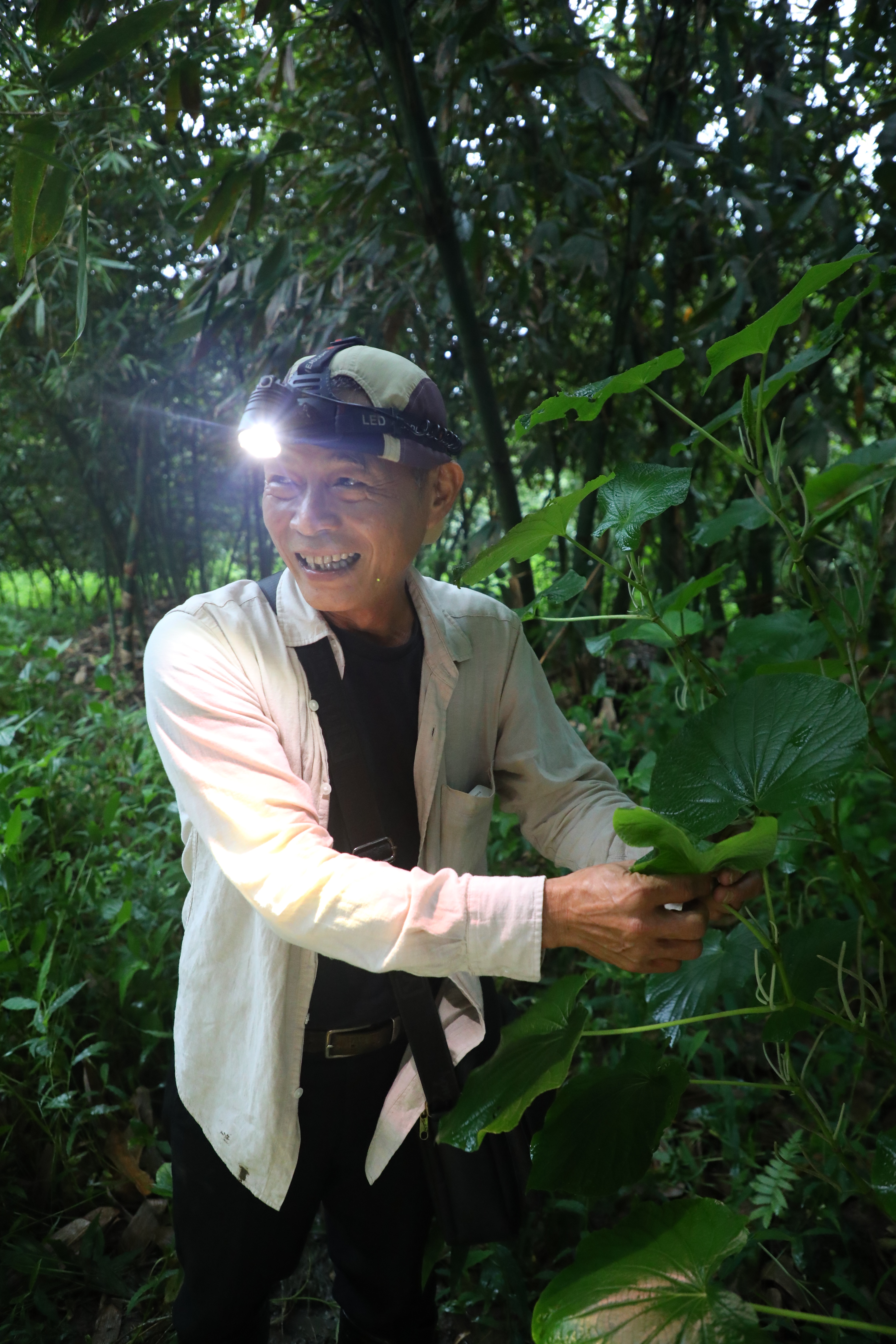 主廚許豐裕在池上累積食材資料庫，手上拿的是原住民愛用的大圓葉胡椒。