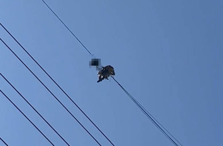 一名泰籍移工原本在高雄工作，卻因不明原因陳屍桃園電塔的電纜上。（翻攝畫面）