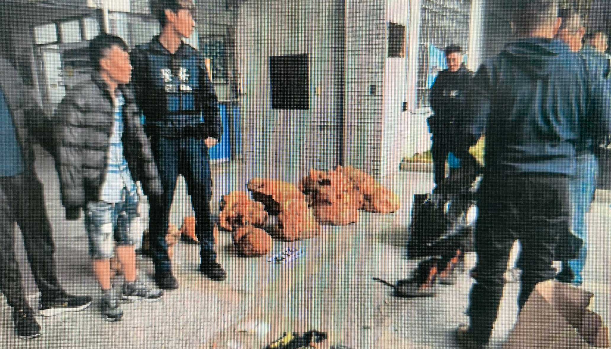 南投檢警8月查獲越南籍移工將千年神木切塊的破案現場。(警局提供)