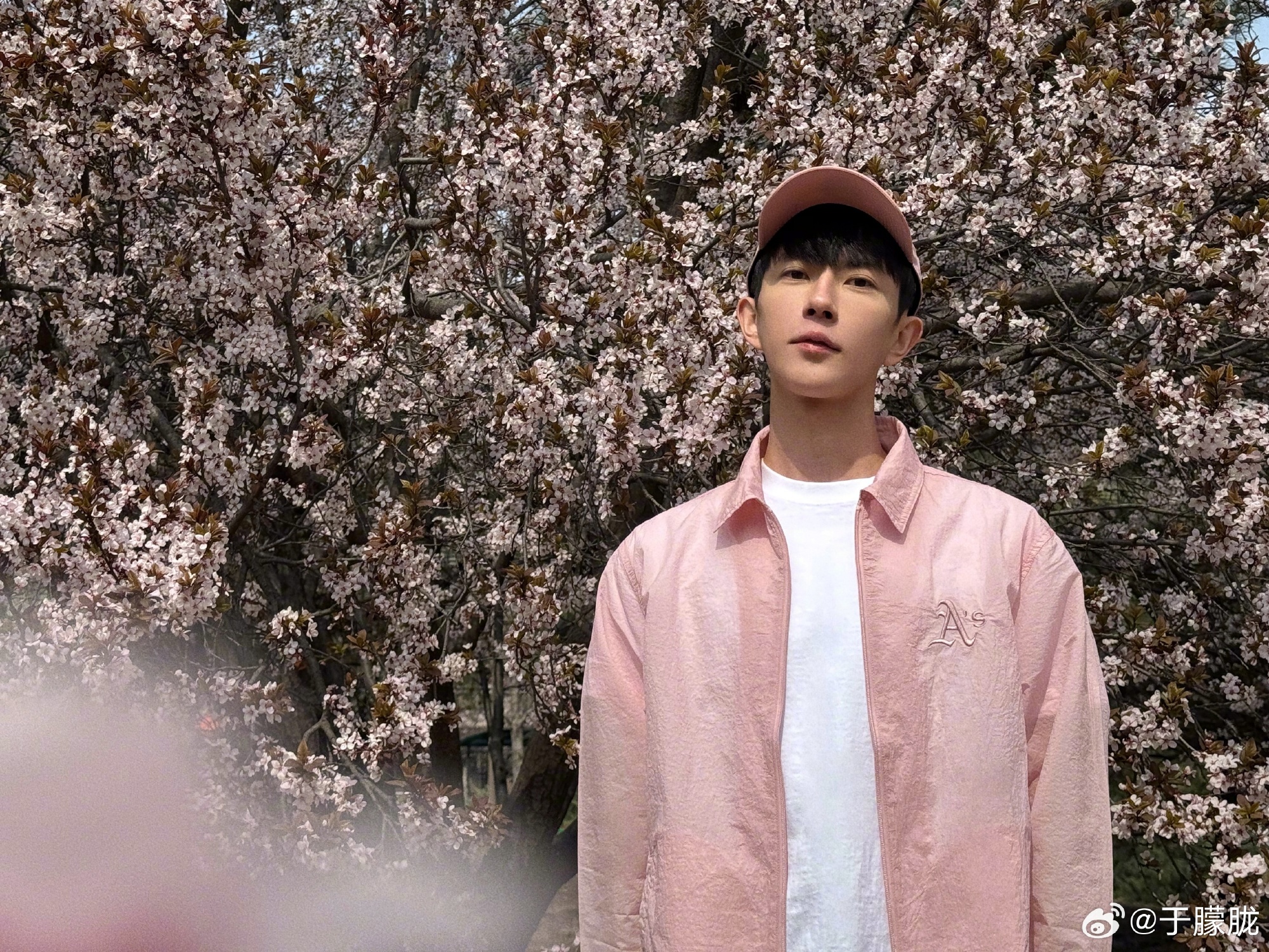 于朦朧的母親今（16日）出面發聲，揭開兒子死因。