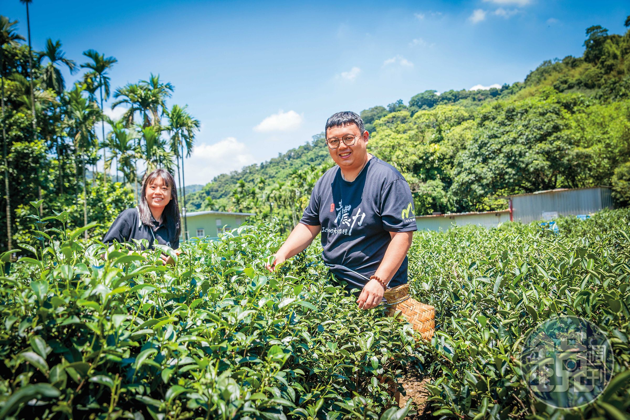 青農黃耀寬（右）、林孟諭（左）夫妻活化老茶園，推出採茶、製茶體驗遊程，不是為了賺錢，而是藉此推廣更多人喜歡茶、來喝茶。