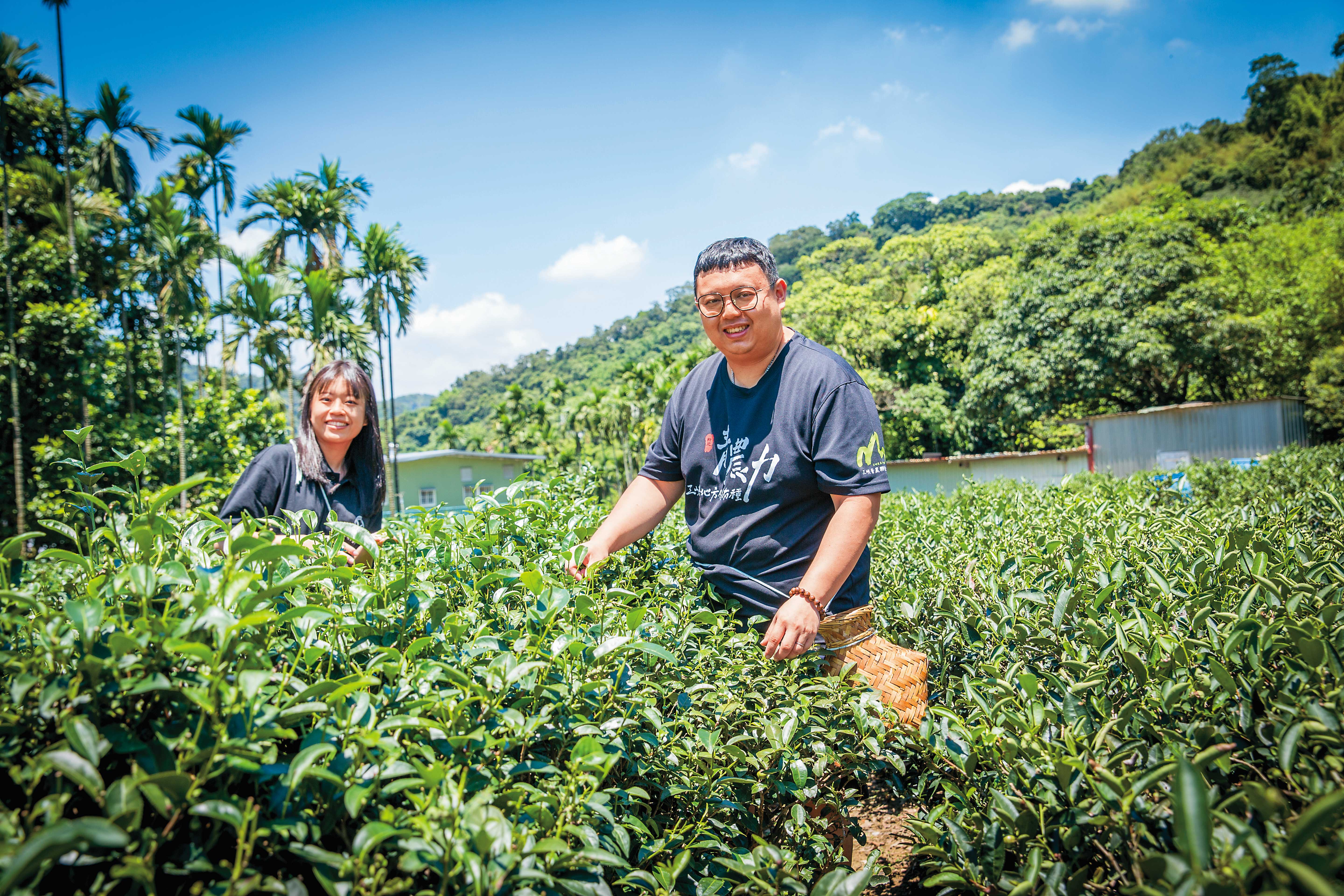 青農黃耀寬（右）、林孟諭（左）夫妻活化老茶園，推出採茶、製茶體驗遊程，不是為了賺錢，而是藉此推廣更多人喜歡茶、來喝茶。