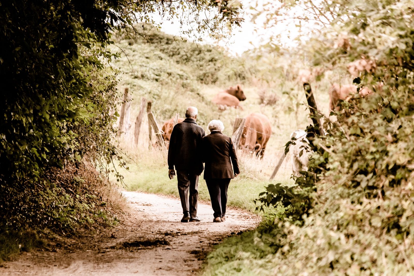 老了才後悔...存款7百多萬仍遺憾 71歲夫妻揭退休生活「最大痛點」