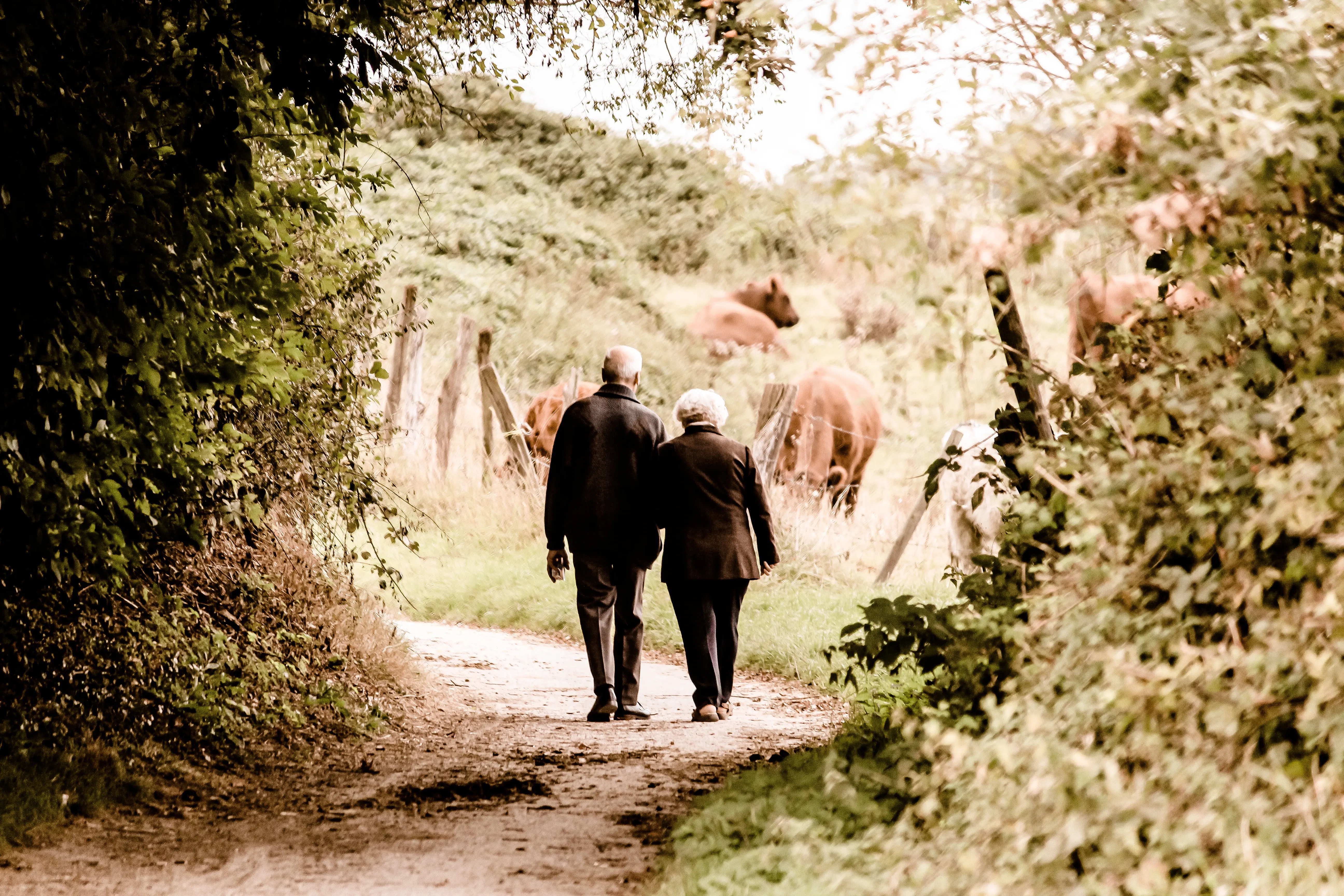老了才後悔...存款7百多萬仍遺憾　71歲夫妻揭退休生活「最大痛點」