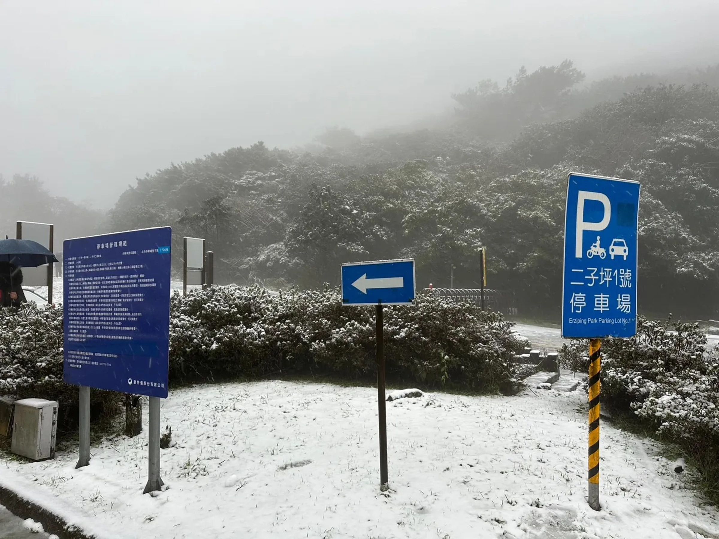 陽明山去年強寒流來襲,降下大雪,吸引大票民眾前往賞景。示意圖。(翻攝自陽明山國家公園臉書)