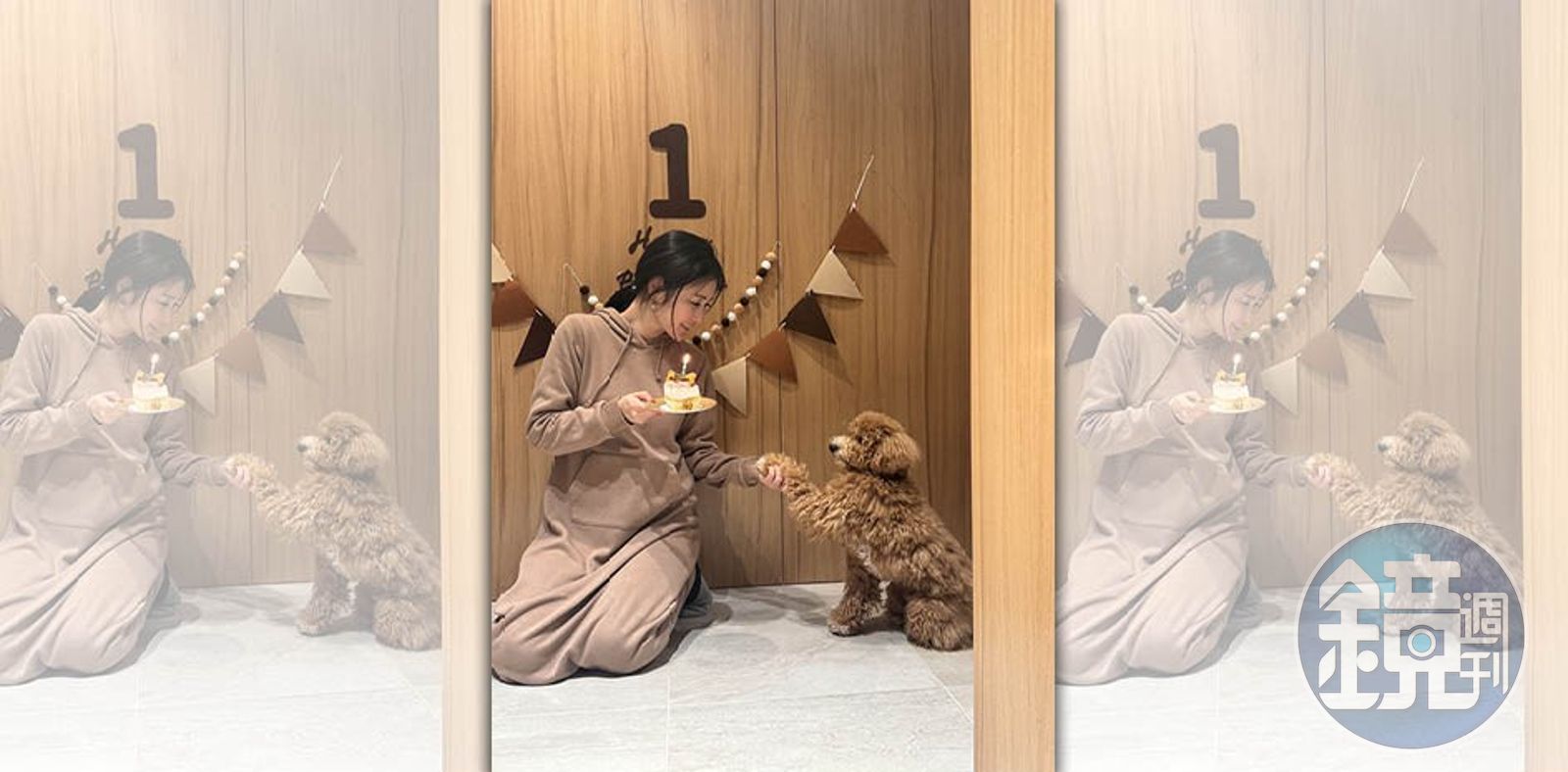 麻衣為愛犬辦了溫馨的生日派對。(讀者提供)