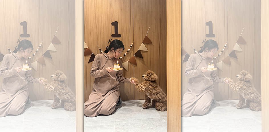 麻衣為愛犬辦了溫馨的生日派對。（讀者提供）