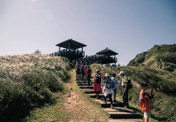 觀光署宣布，因應天兔颱風海上陸上警報，預警性關閉全台37處景點。圖為草嶺古道芒花季照。（翻攝自東北角及宜蘭海岸國家風景區官網）