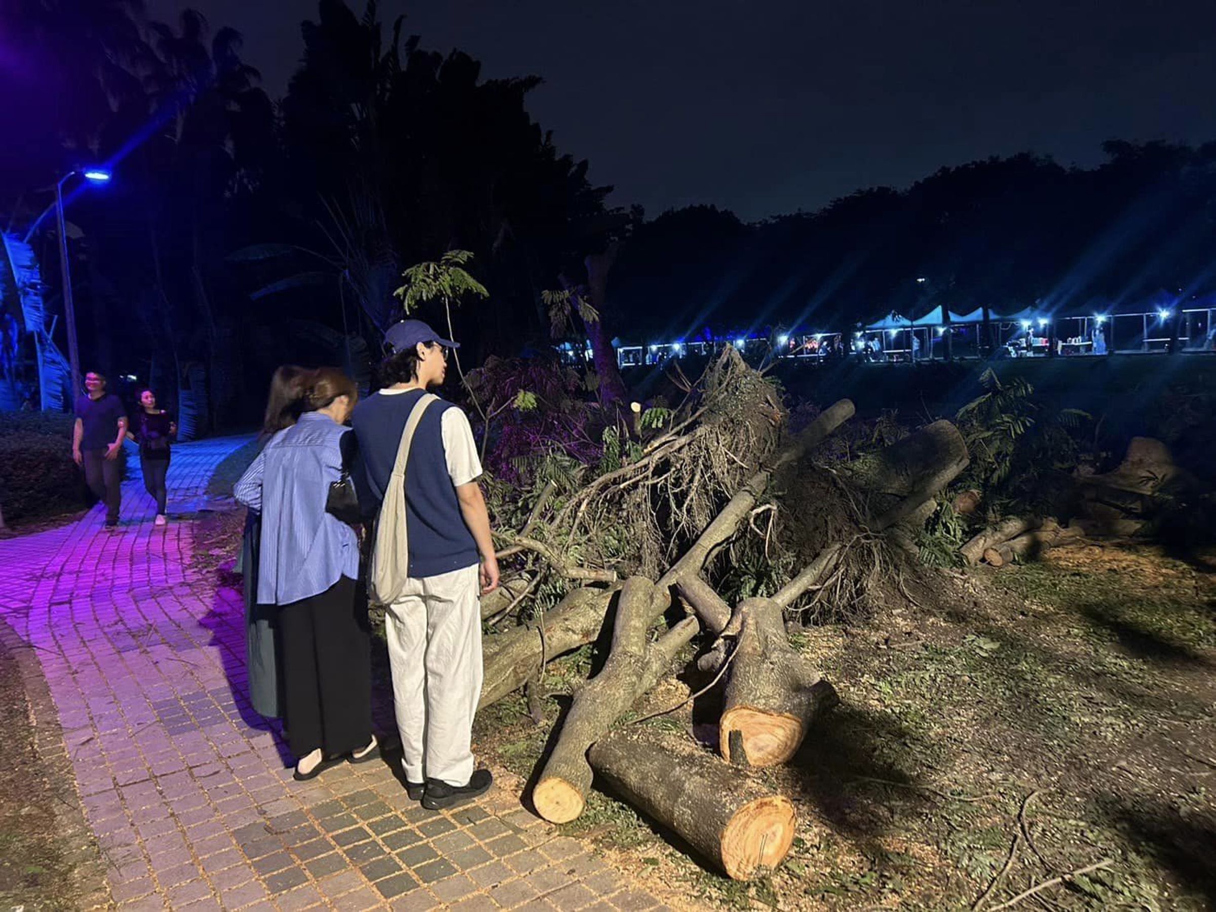 由於颱風過境,白晝之夜場地滿是泥濘與殘枝敗葉。(翻攝自facebook @顏若芳)