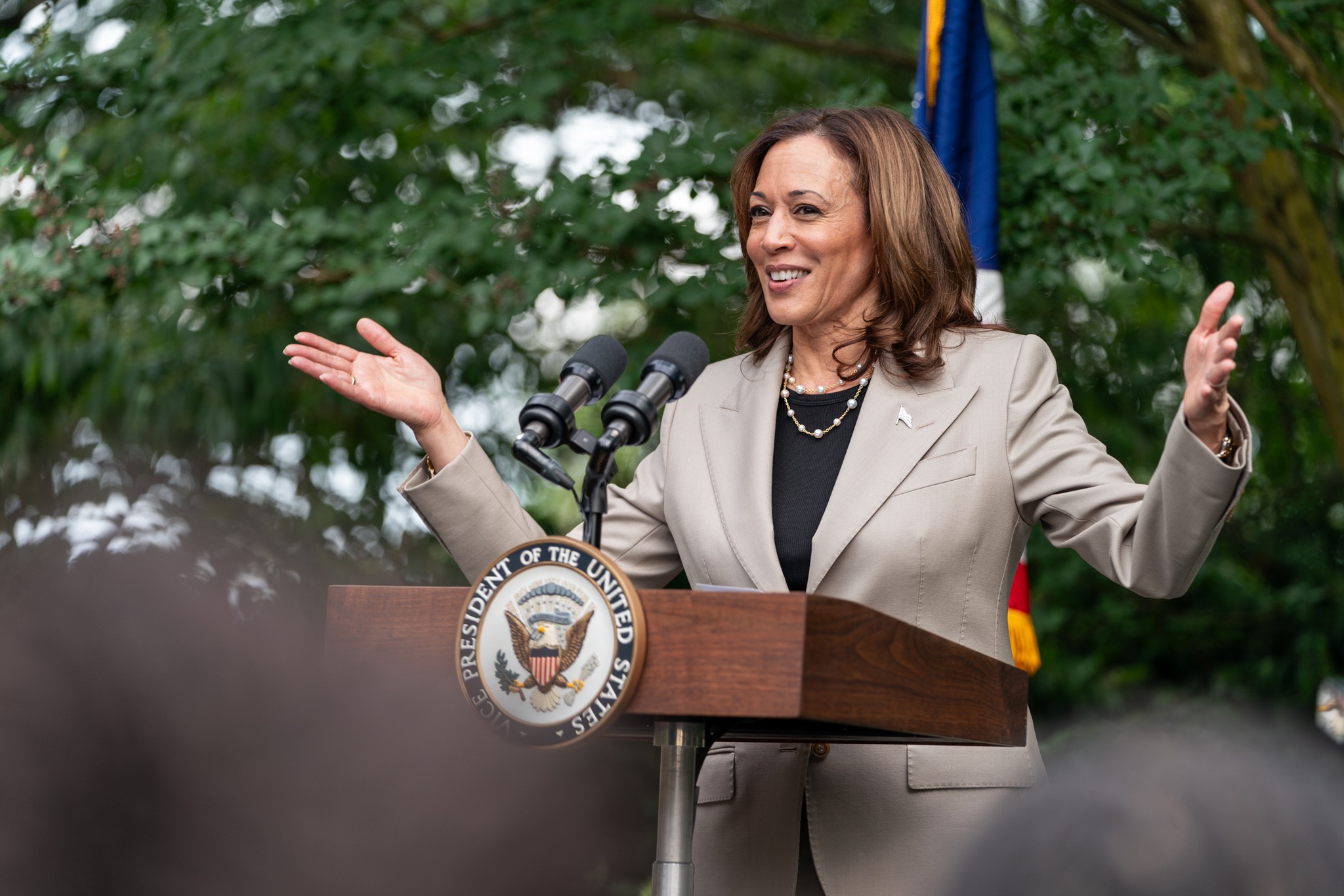 賀錦麗被認為是目前最有力替補拜登參選總統的人。（翻攝自Vice President Kamala Harris臉書）