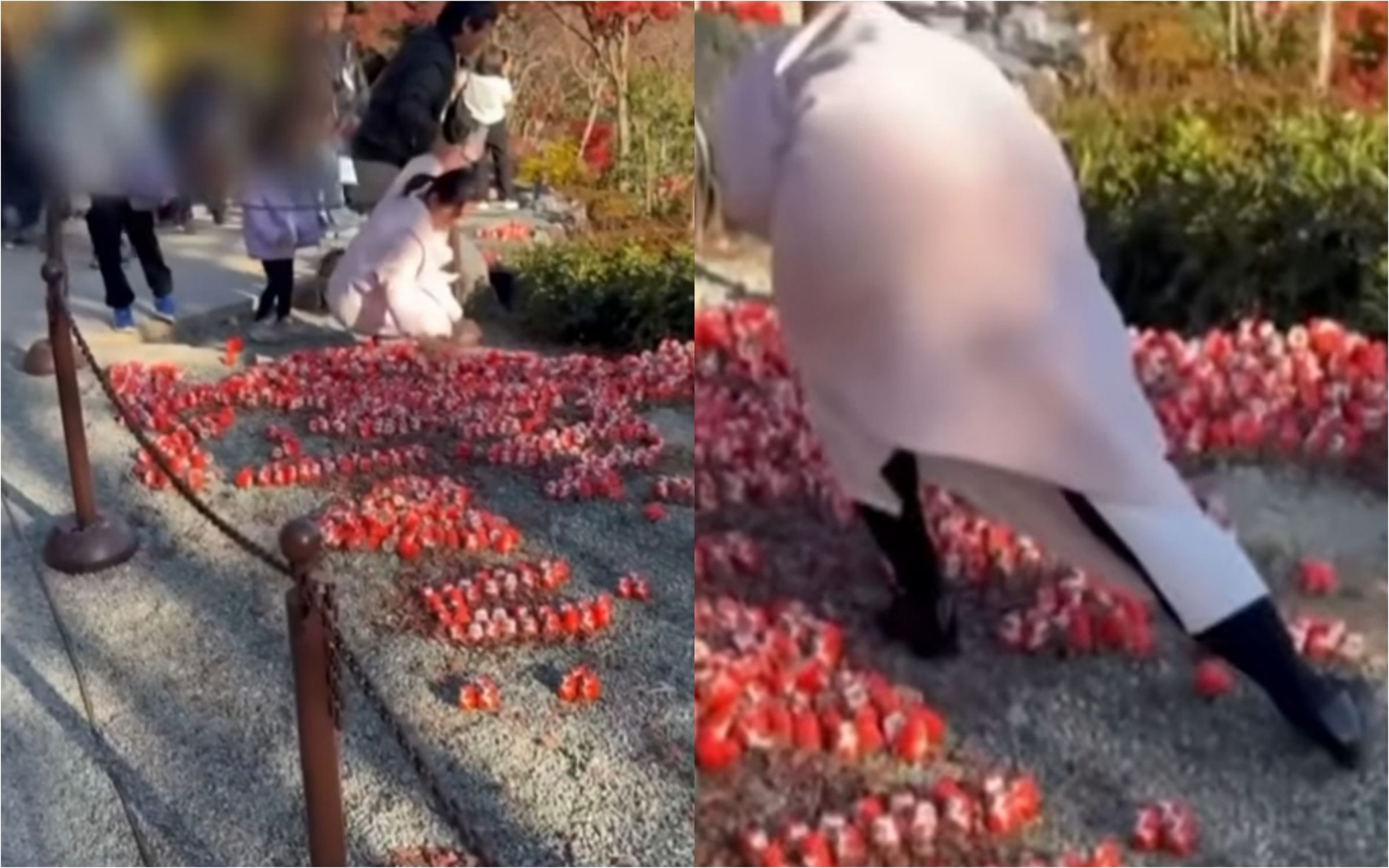 a23b8699-6e4a-4545-857c-