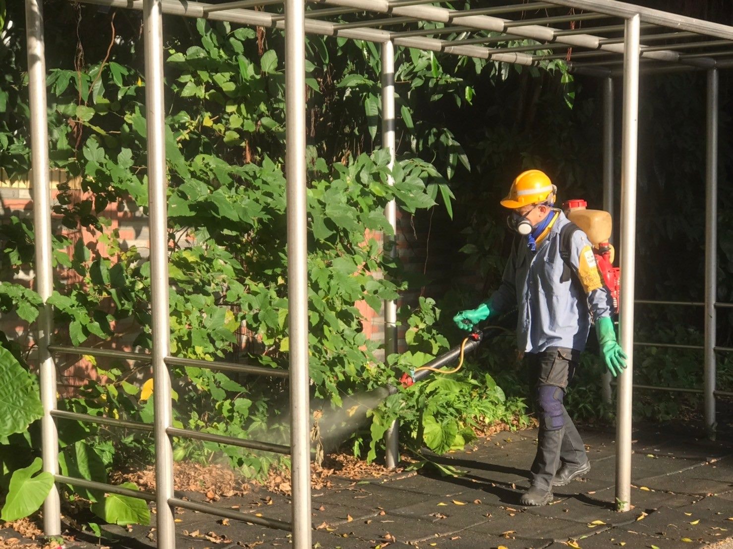 台北市衛生局今日公布，單週新增1例登革熱本土病例，為有高雄活動史的信義區民眾。（北市衛生局提供）